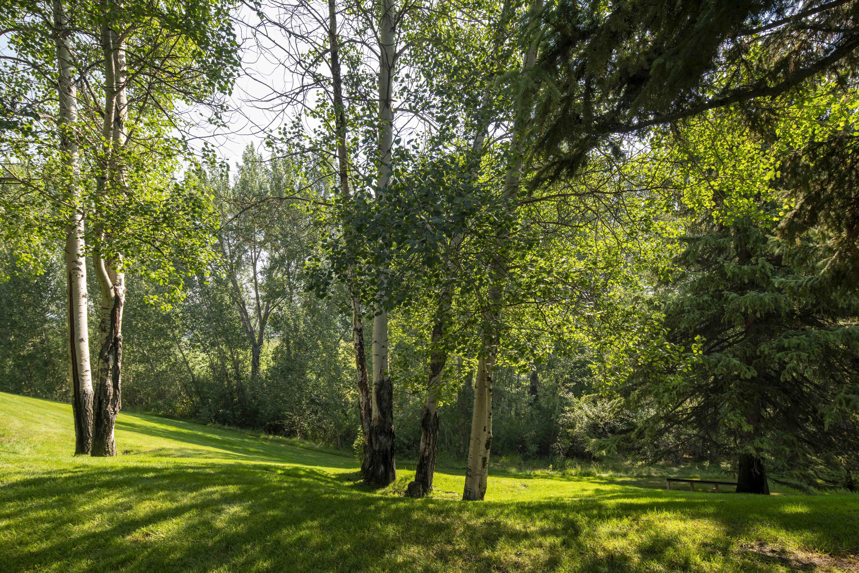 1106 Atelier Condo Dr, Sun Valley, Idaho image 14