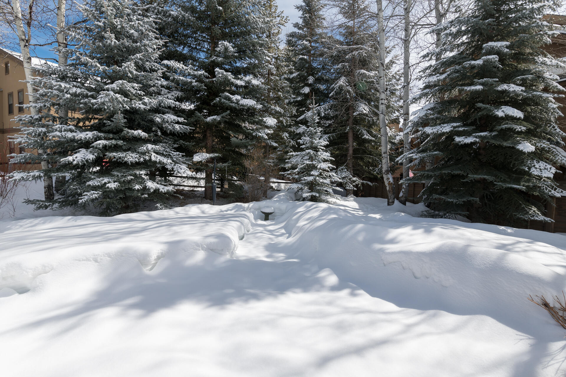 207 Williams St, Ketchum, Idaho image 31