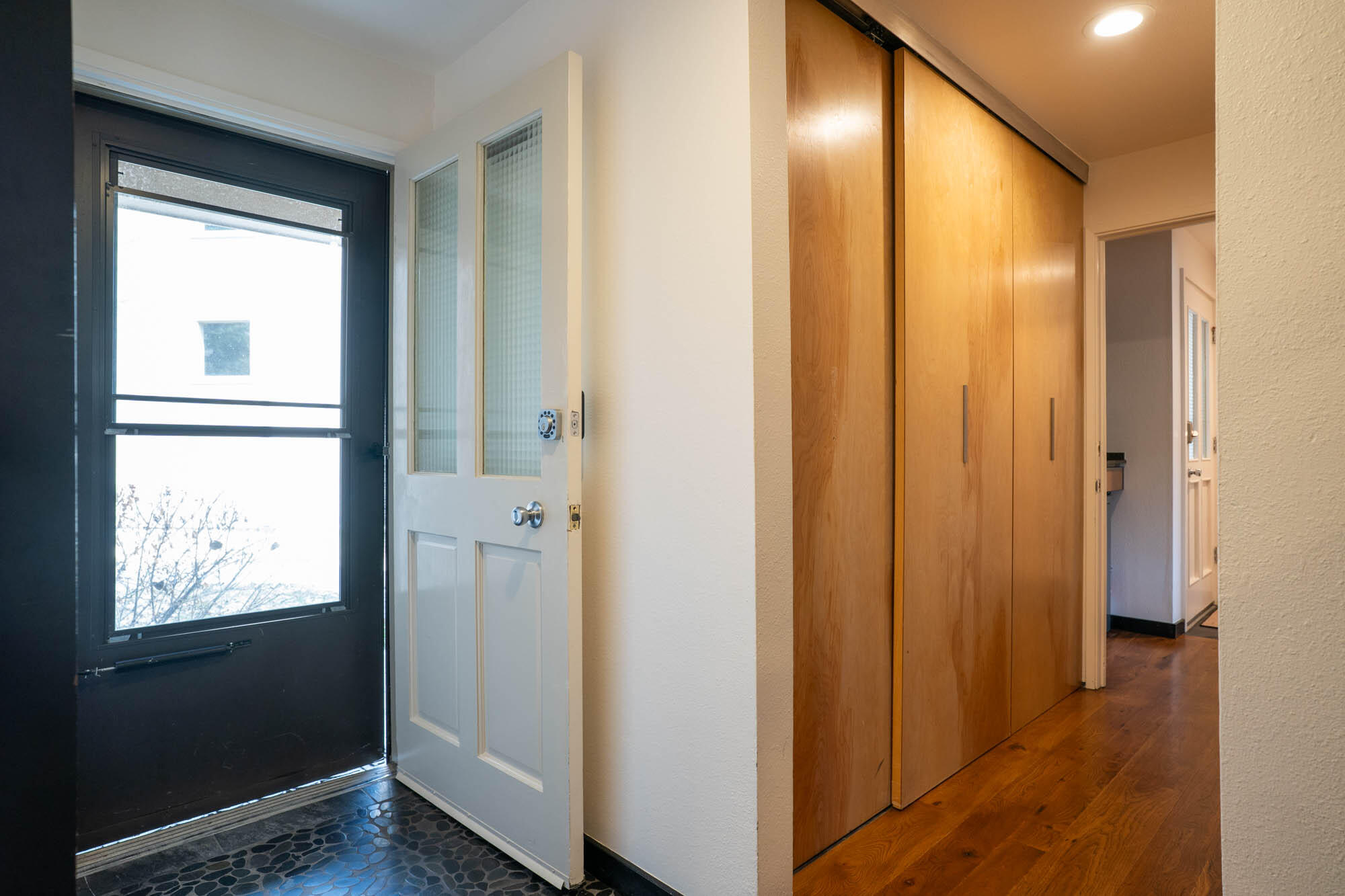 Entrance and Hallway