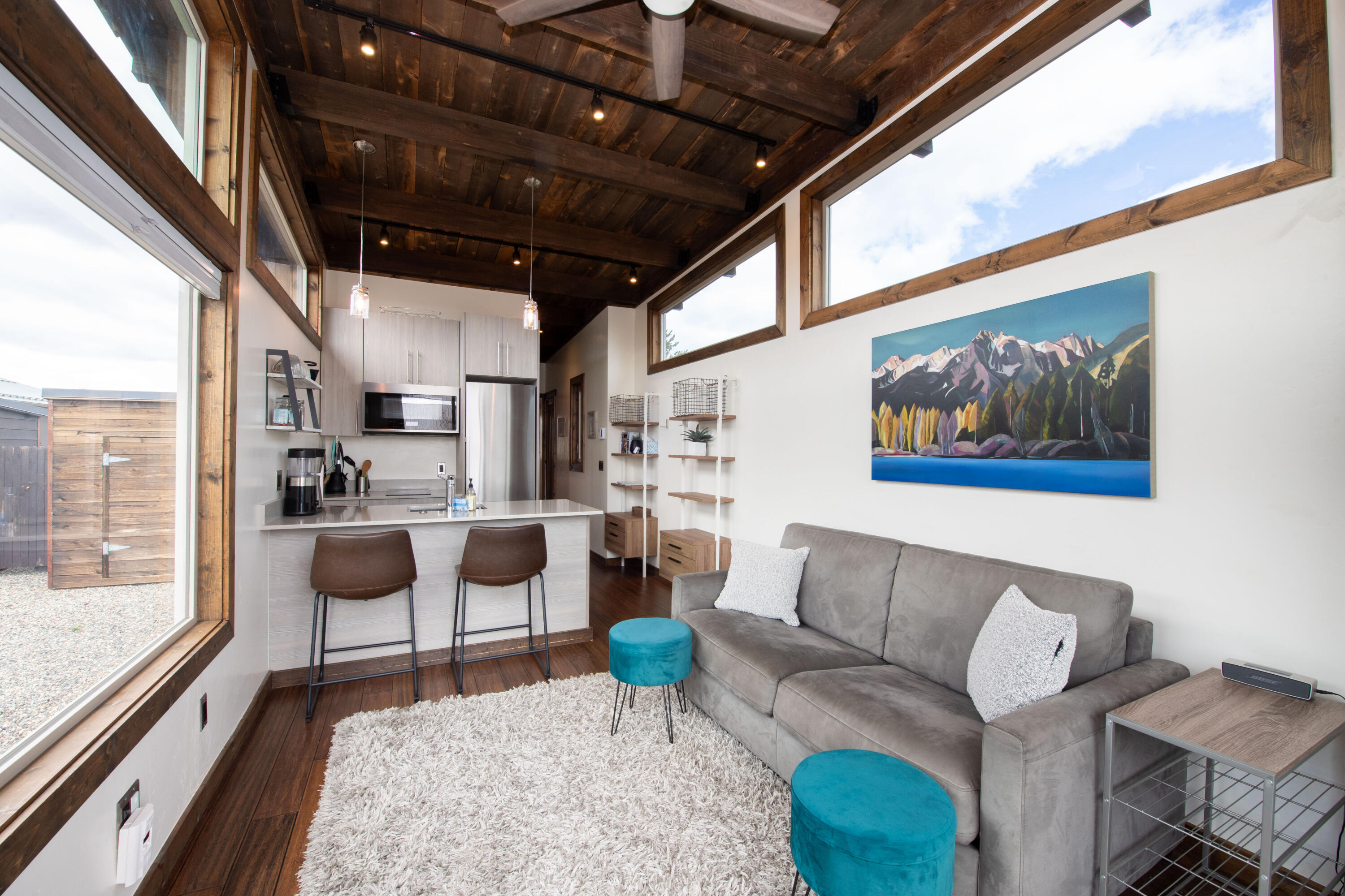 955 Eva Falls Ave #3, Stanley, Idaho image 3