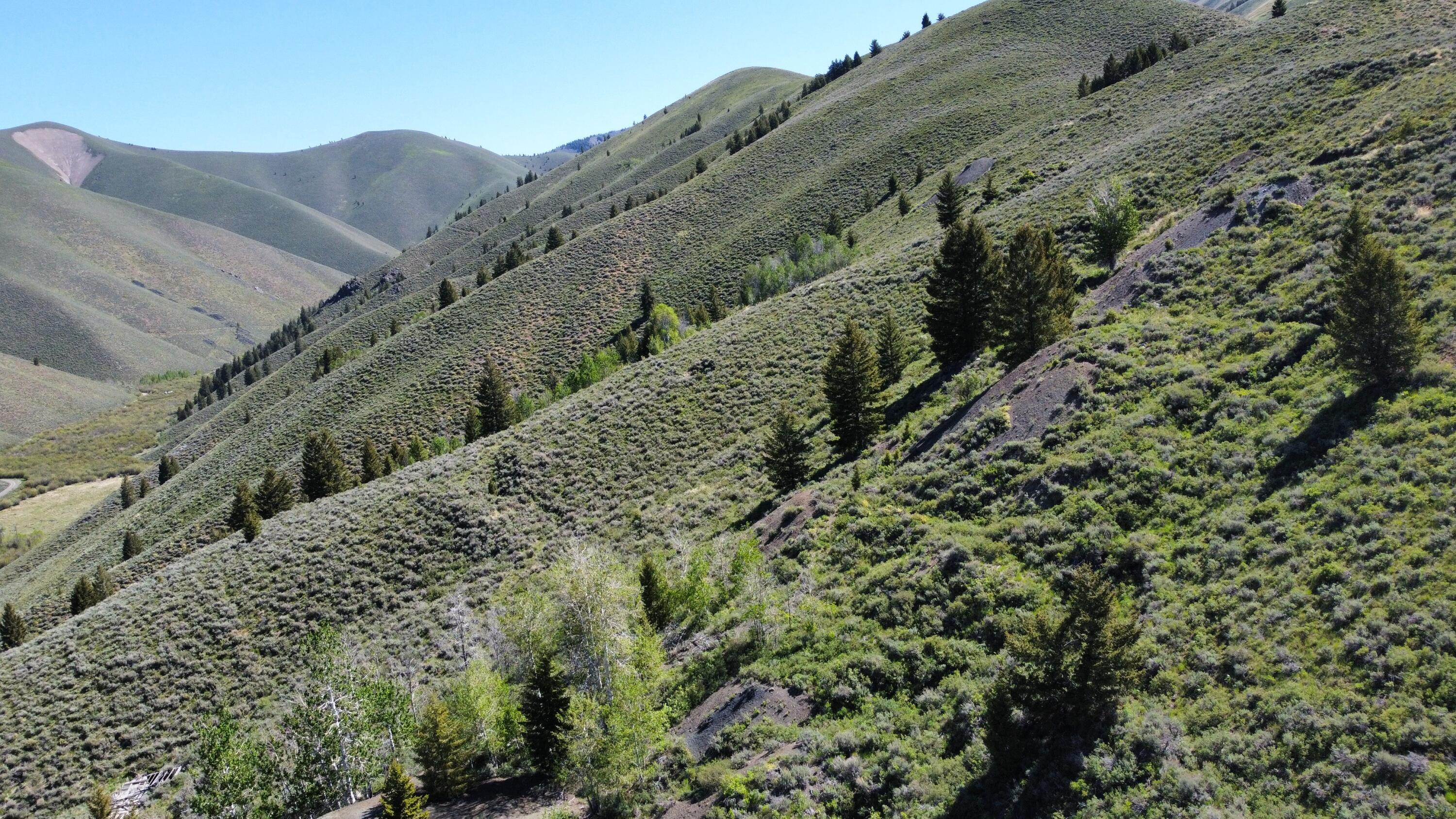 TBD Parker Gulch Rd, Sun Valley, Idaho image 10