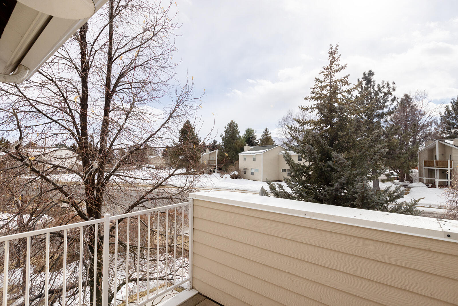 811 White Cloud Lane #E, Hailey, Idaho image 12
