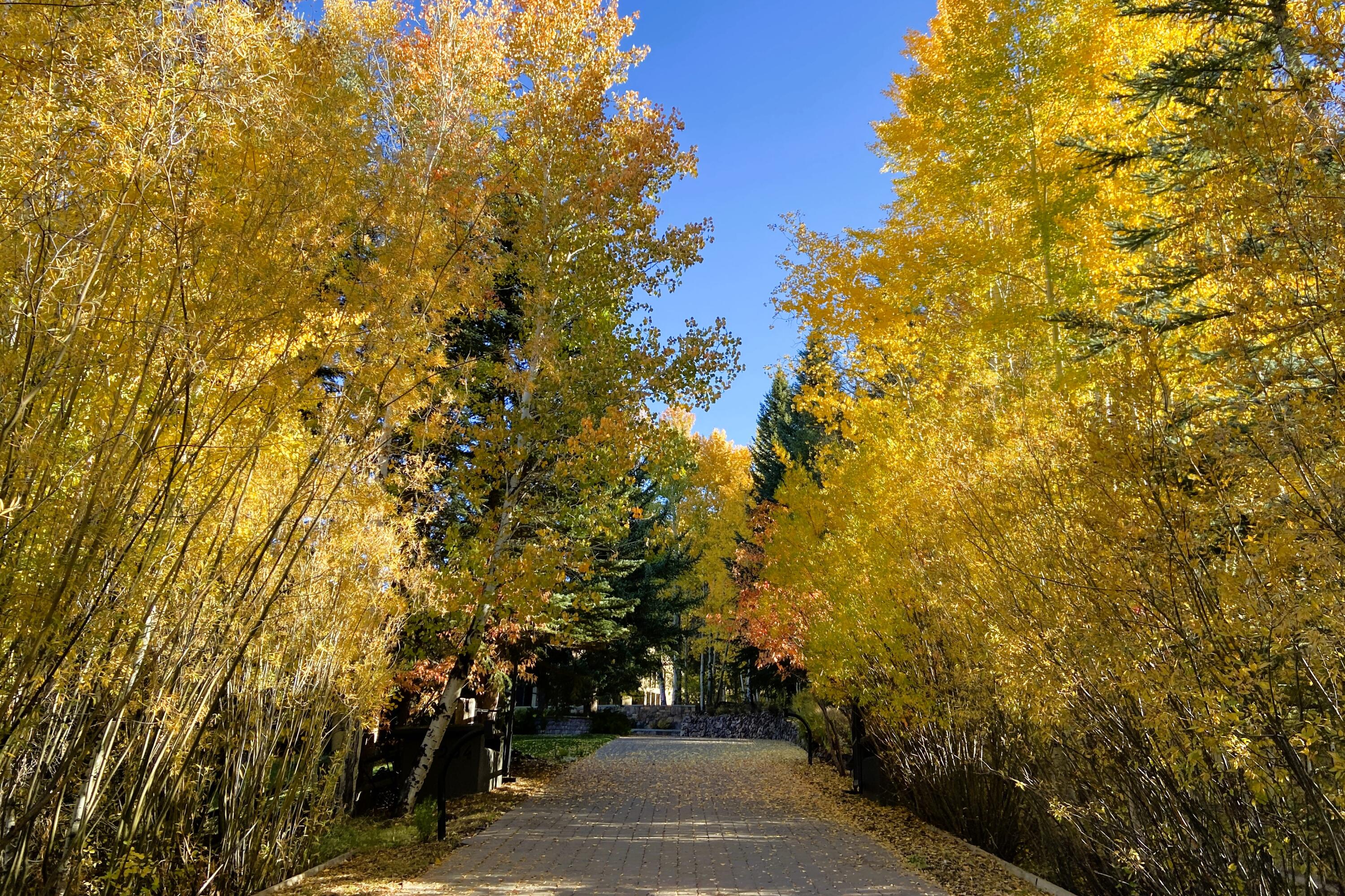 Private Gated Driveway