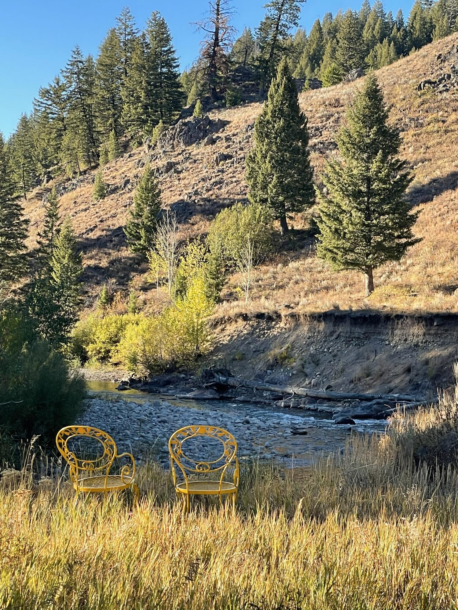 Enjoy views up the Bigwood River