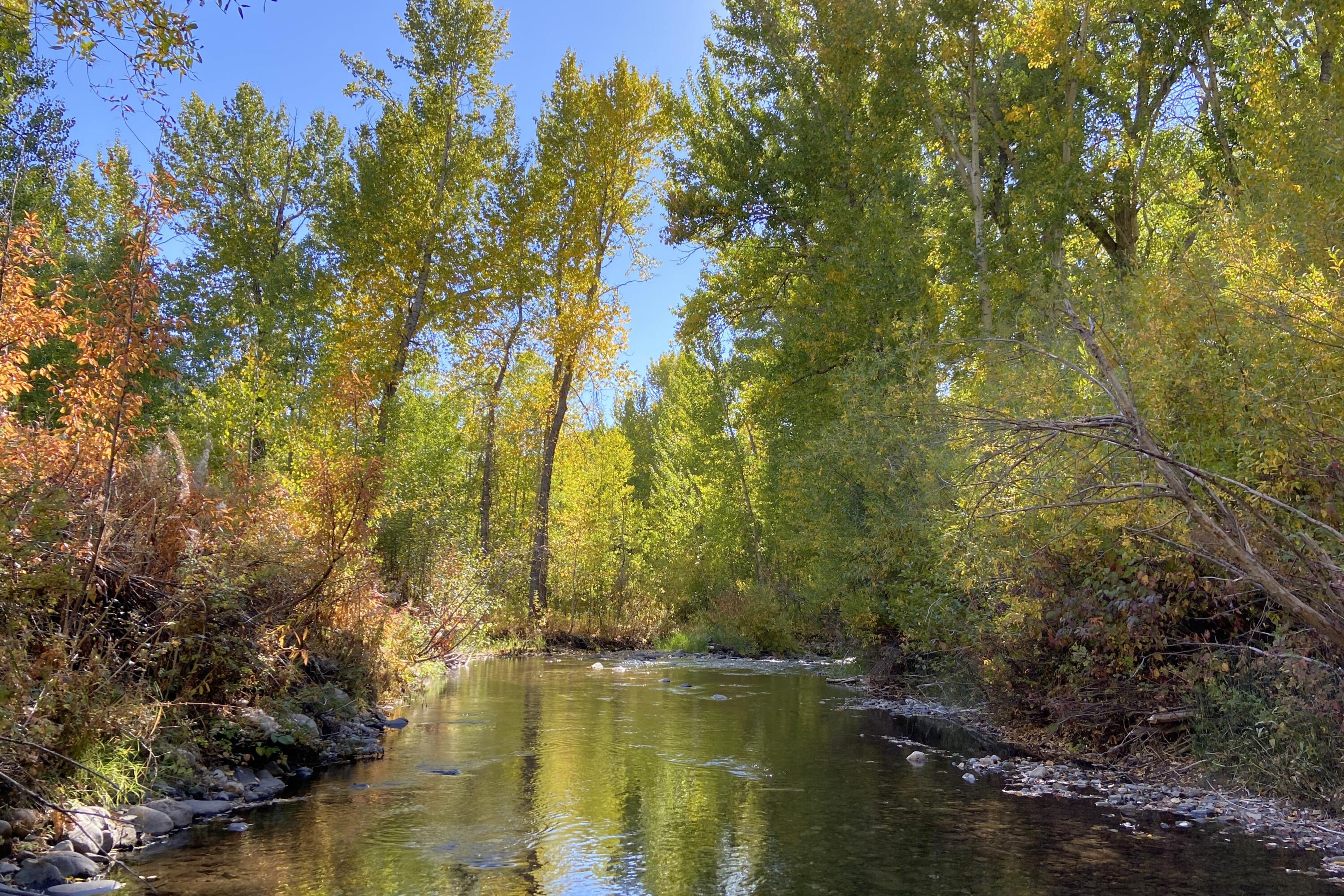 East Fork River in the Fall