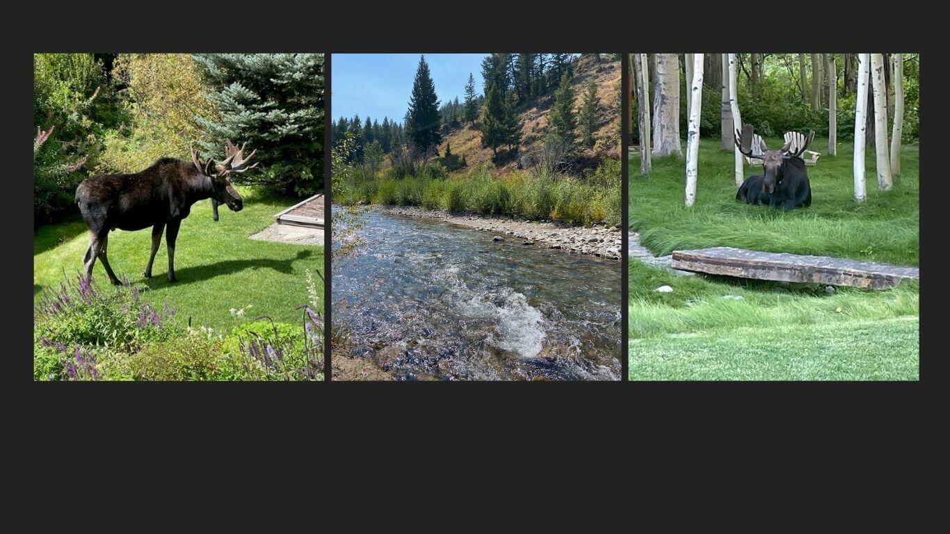 Blaine County, Idaho 83340, United States, 3 Bedrooms Bedrooms, ,3 BathroomsBathrooms,Residential,Active,32387