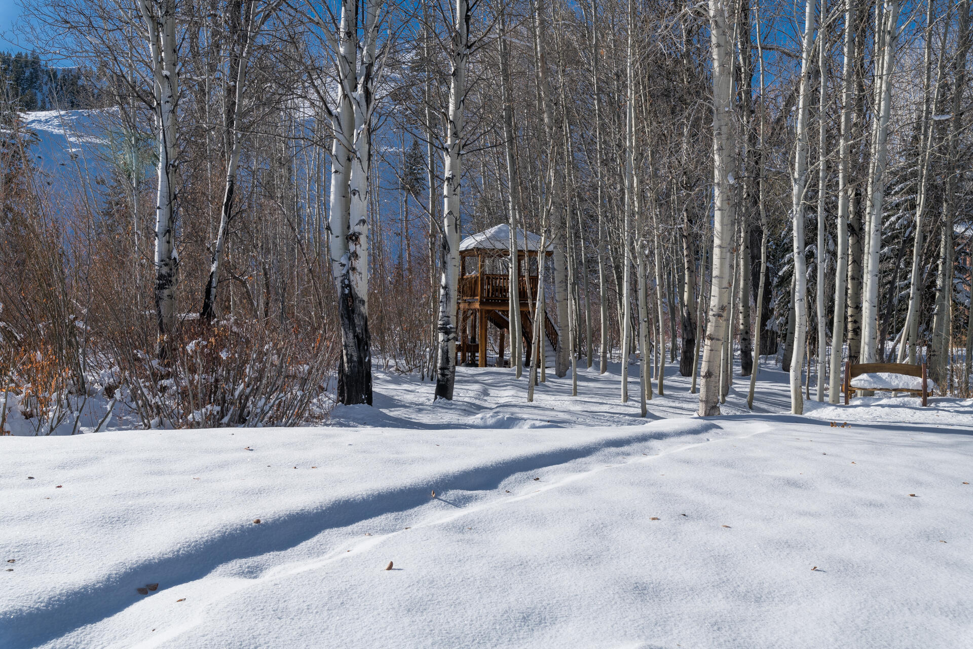 Blaine County, Idaho 83340, United States, 3 Bedrooms Bedrooms, ,3 BathroomsBathrooms,Residential,Active,32387