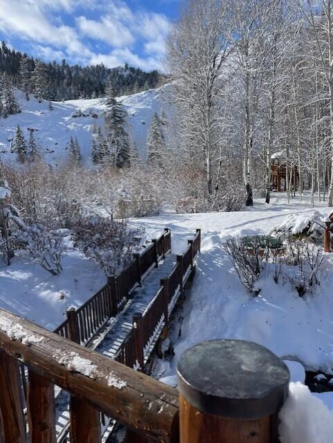 Blaine County, Idaho 83340, United States, 3 Bedrooms Bedrooms, ,3 BathroomsBathrooms,Residential,Active,32387