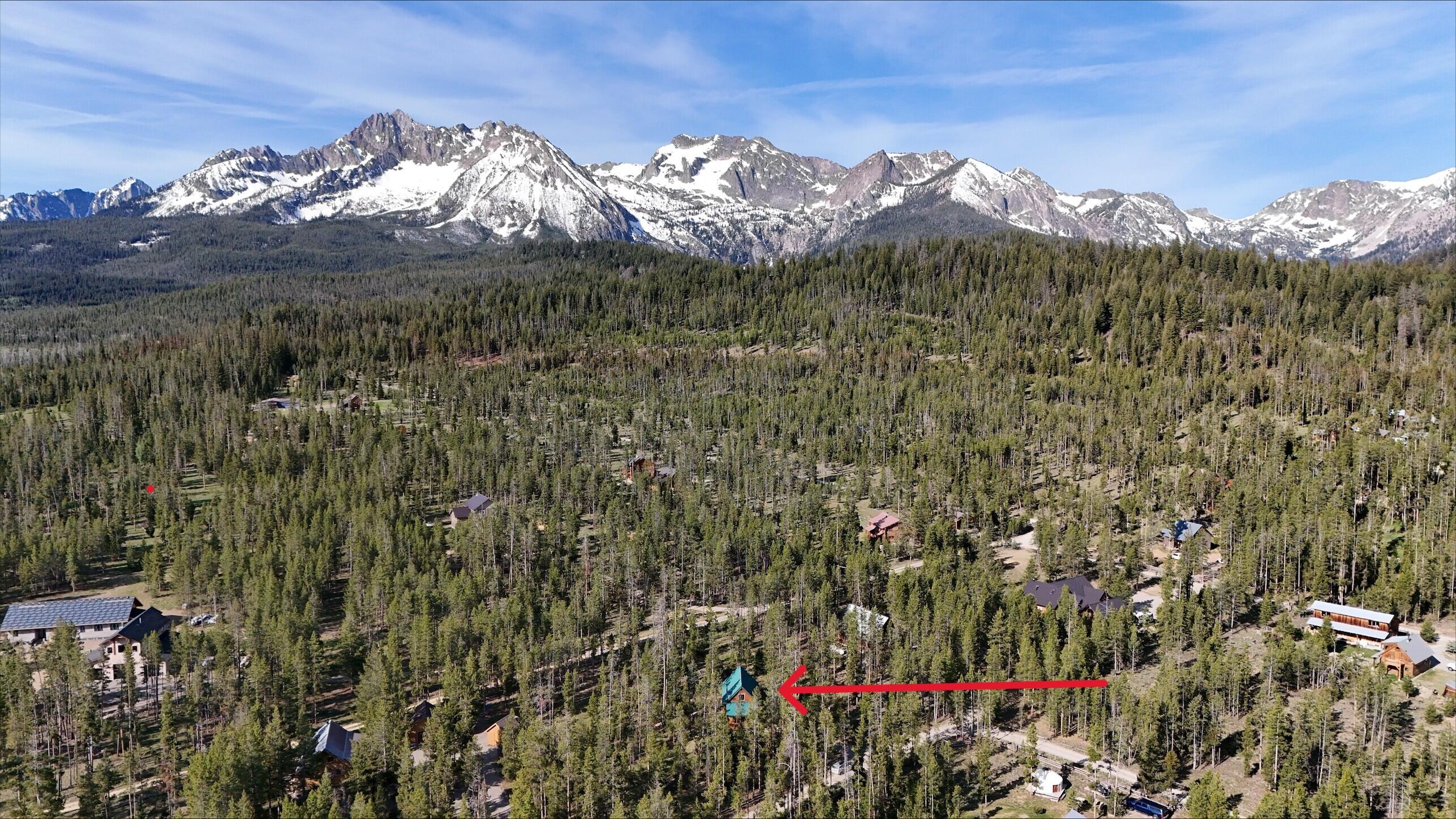 95 Valley Way, Stanley, Idaho image 2