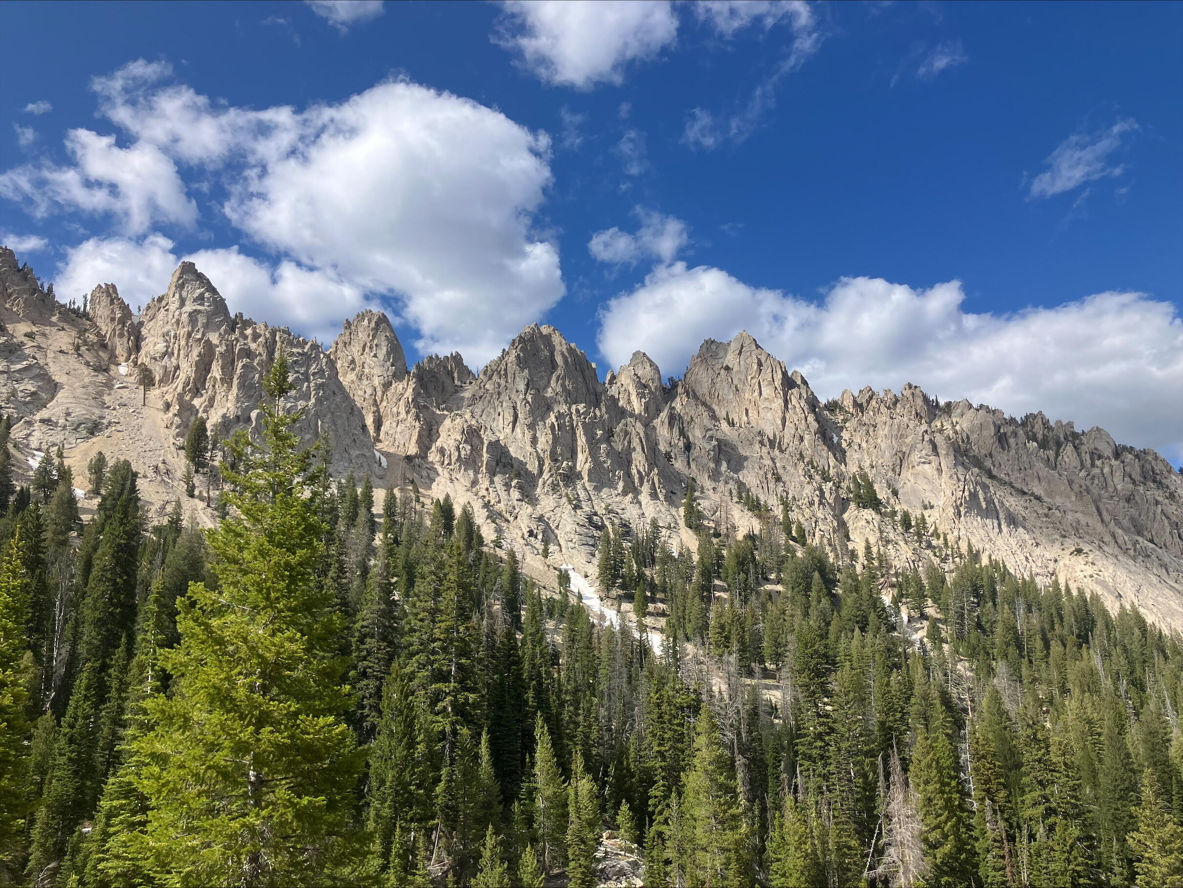 95 Valley Way, Stanley, Idaho image 19