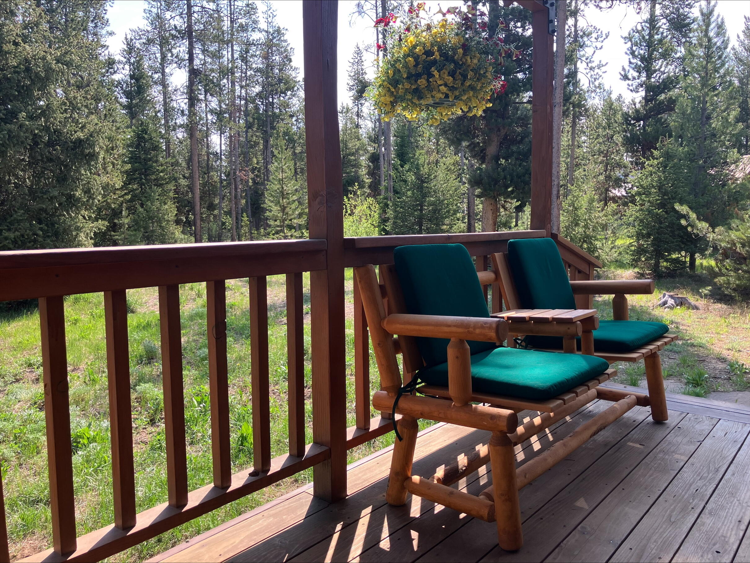95 Valley Way, Stanley, Idaho image 13