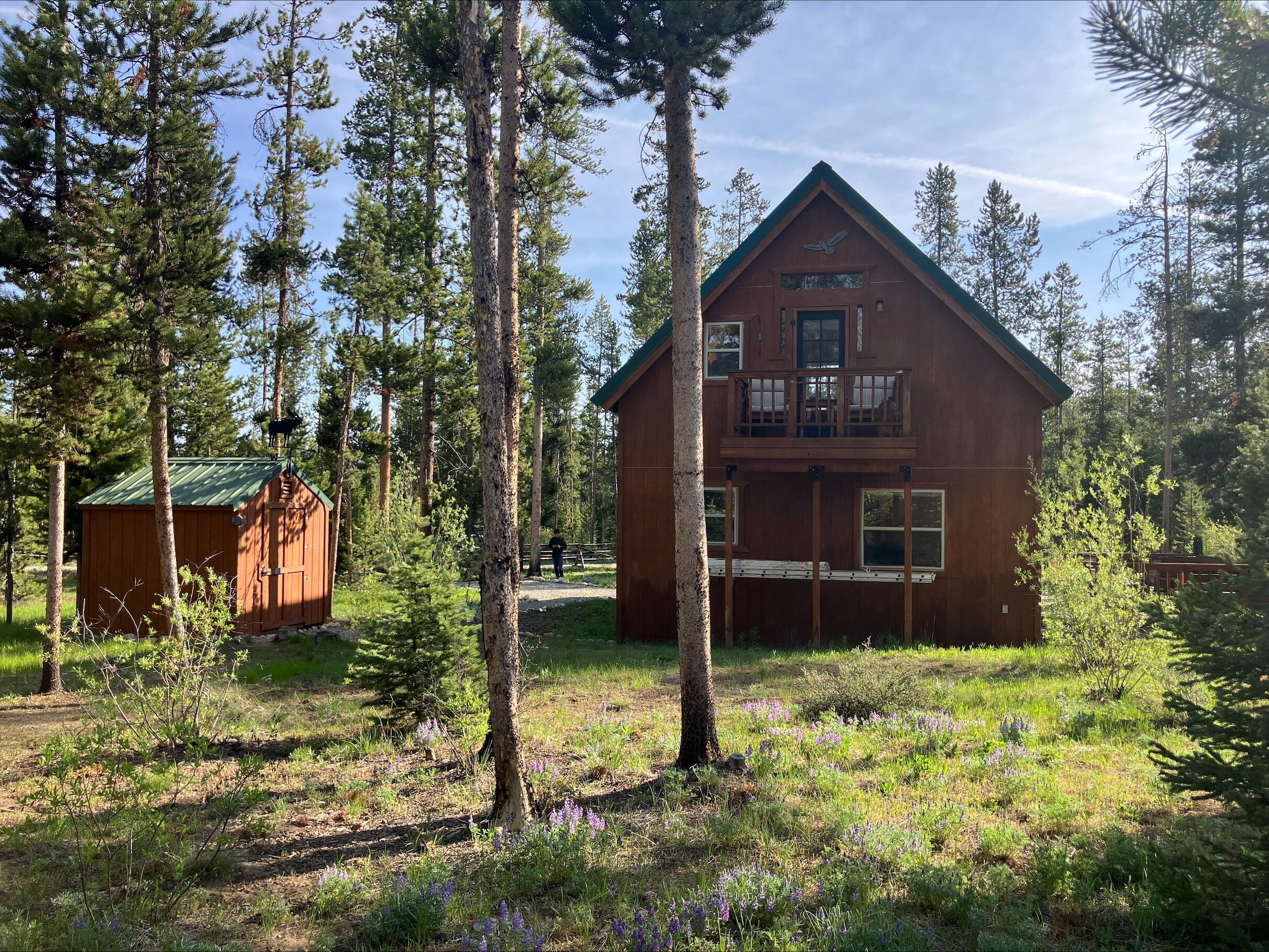 95 Valley Way, Stanley, Idaho image 17