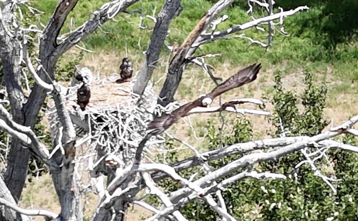 Image 6-30-25 at 10.29AM