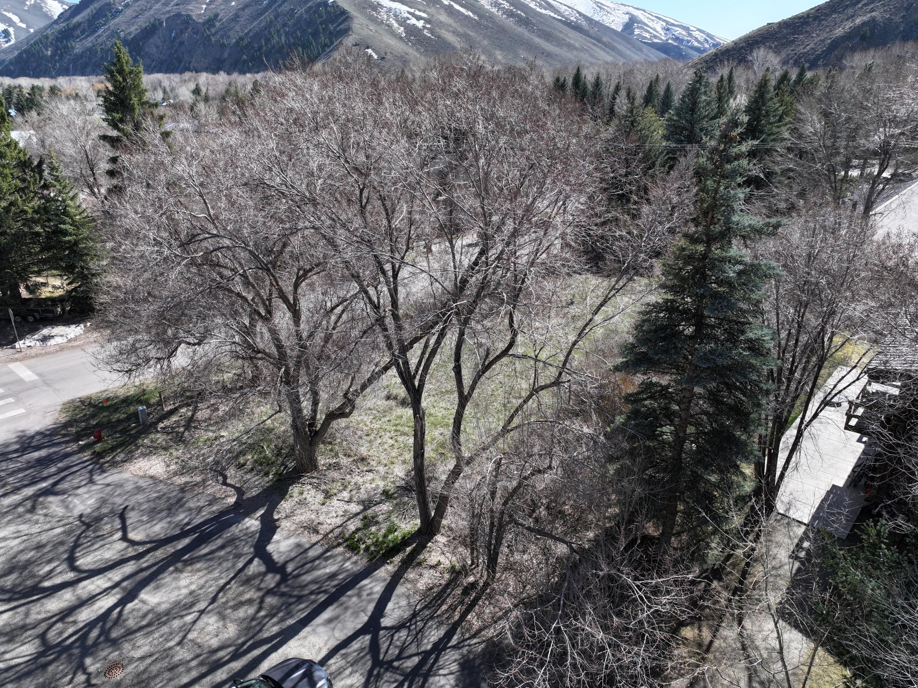 303 N River St, Hailey, Idaho image 5