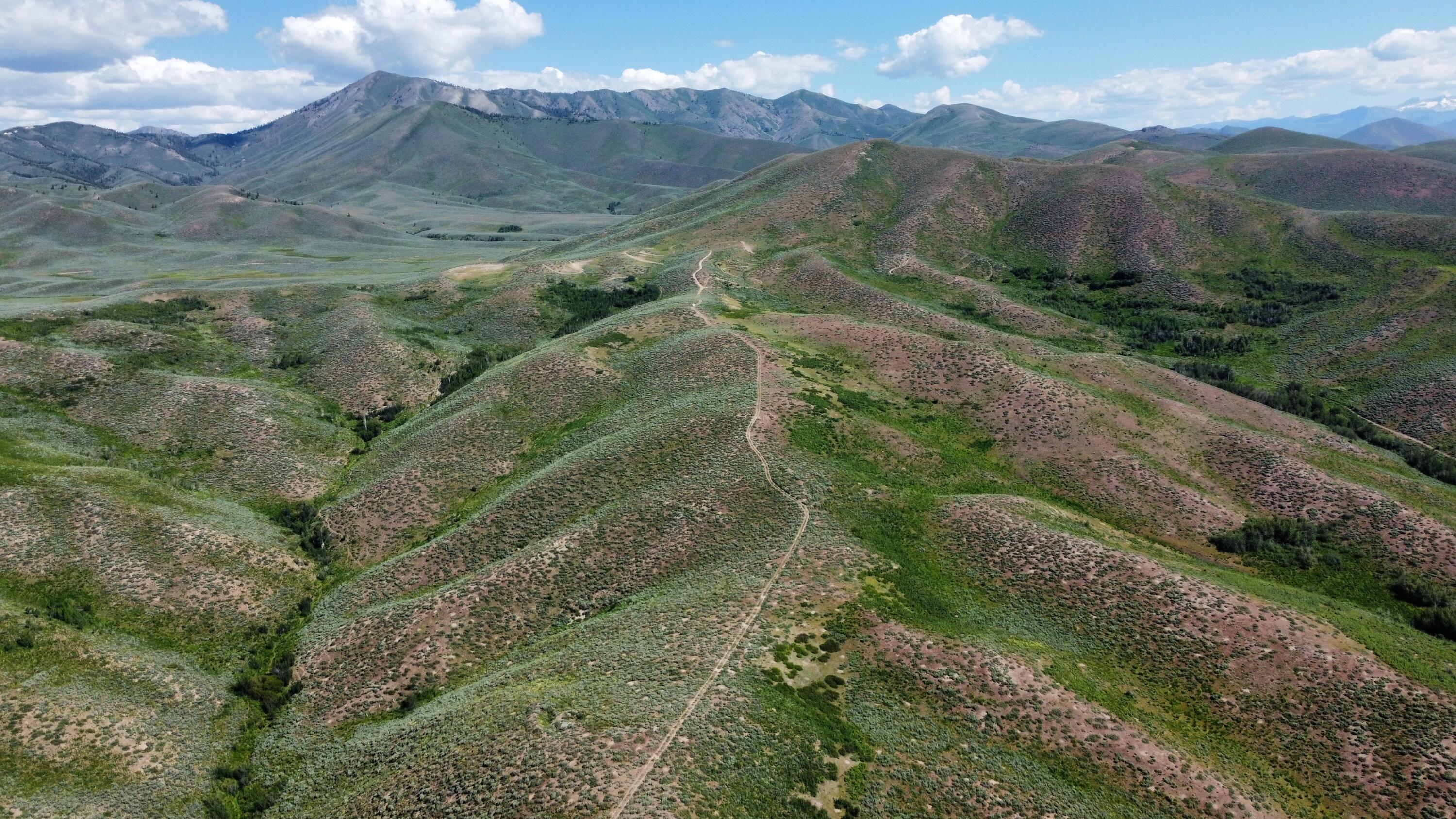 TBD Camp Creek Rd, Hailey, Idaho image 3