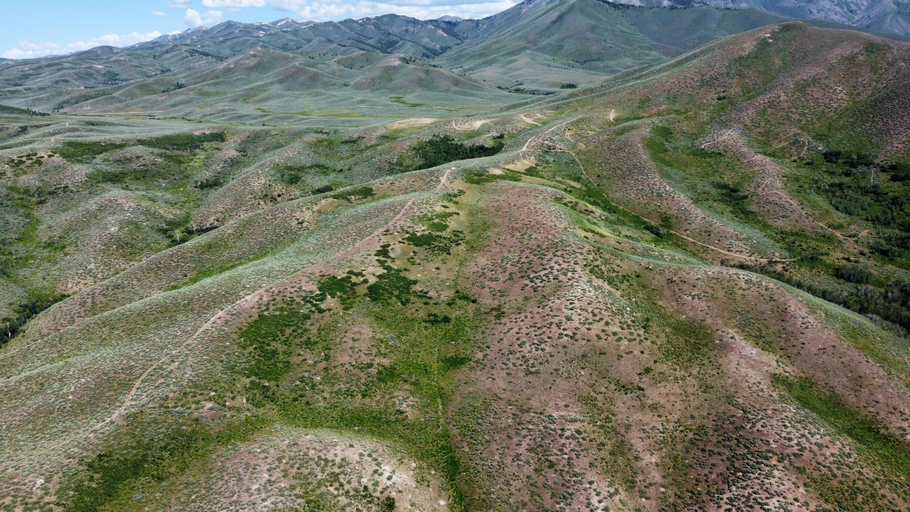 TBD Camp Creek Rd, Hailey, Idaho image 4