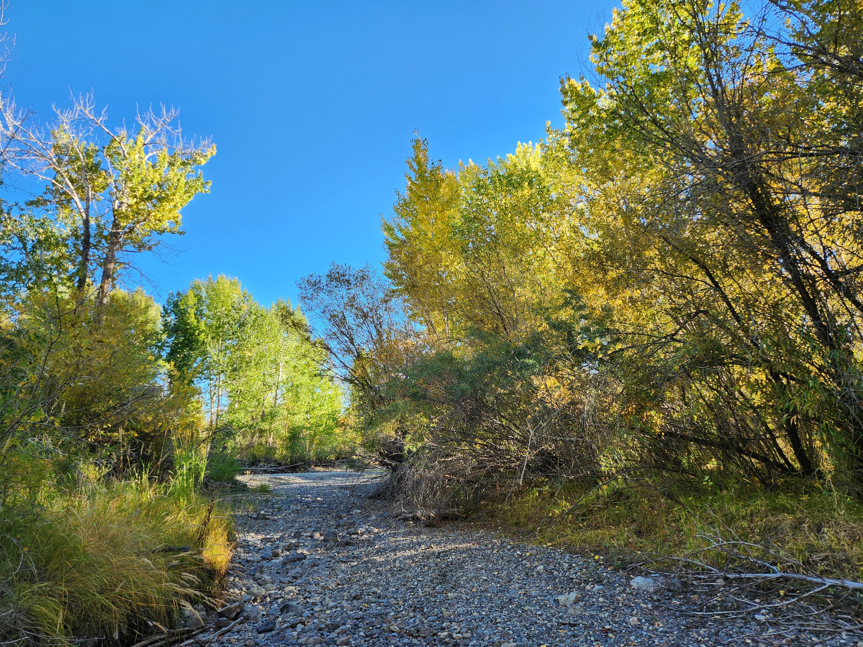 Diversion Side Channel