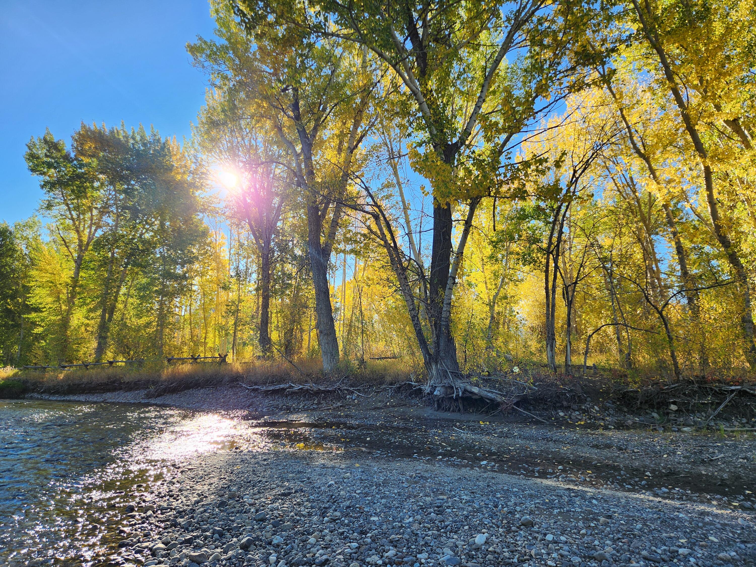 Looking Into Lot From River