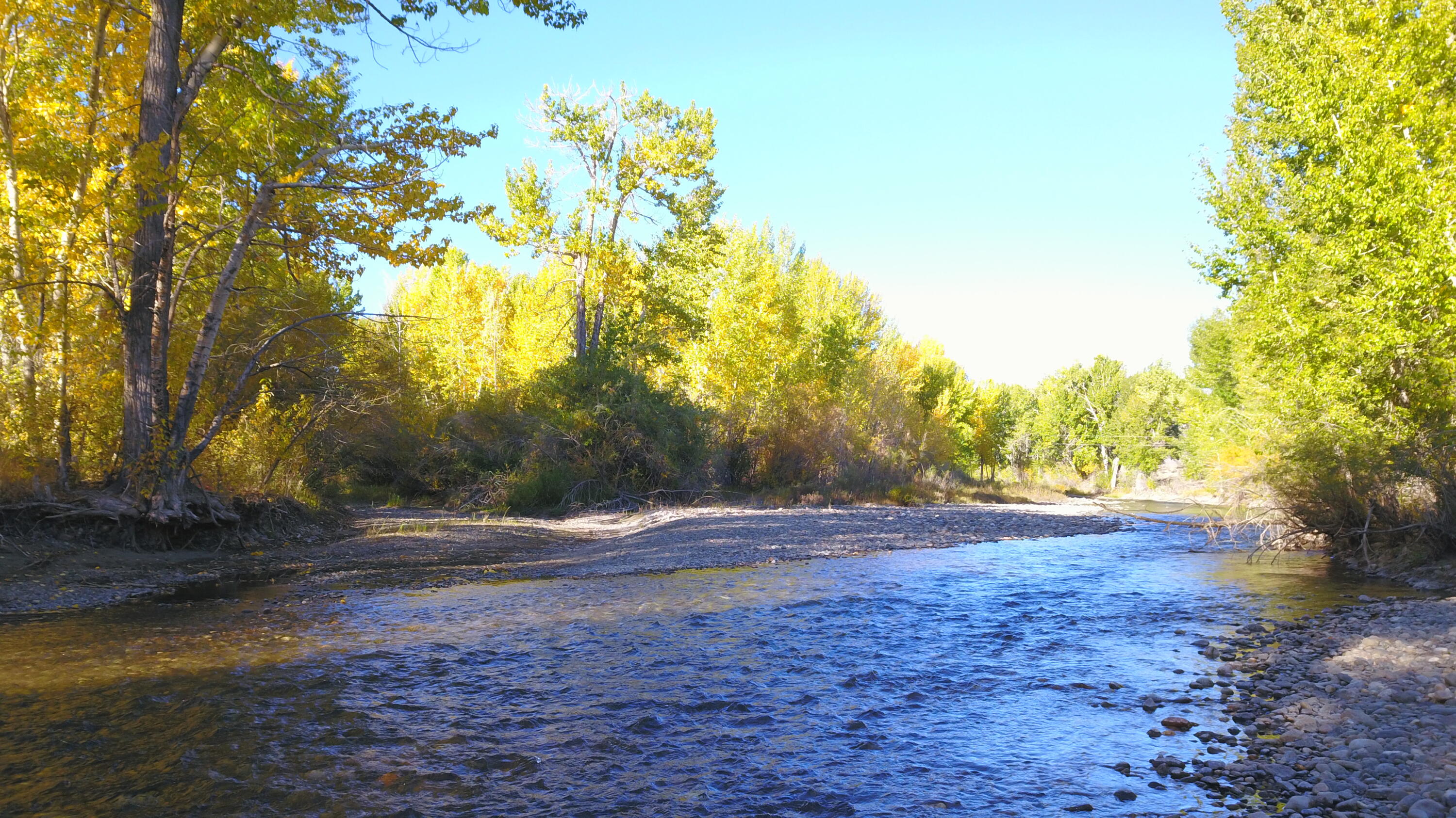 Diversion Confluence