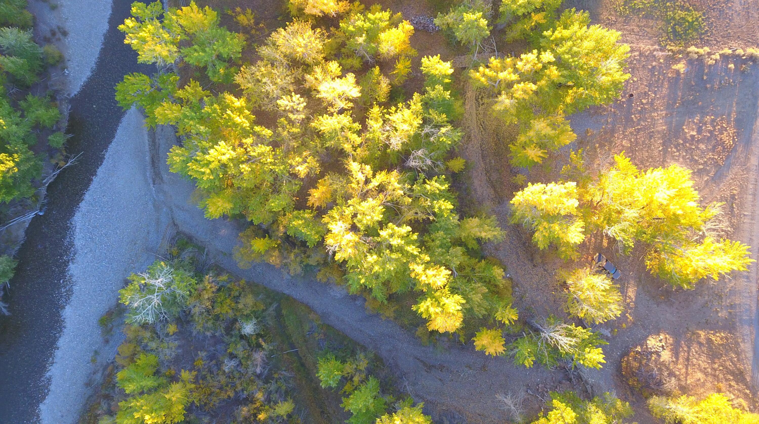 River Frontage Aerial