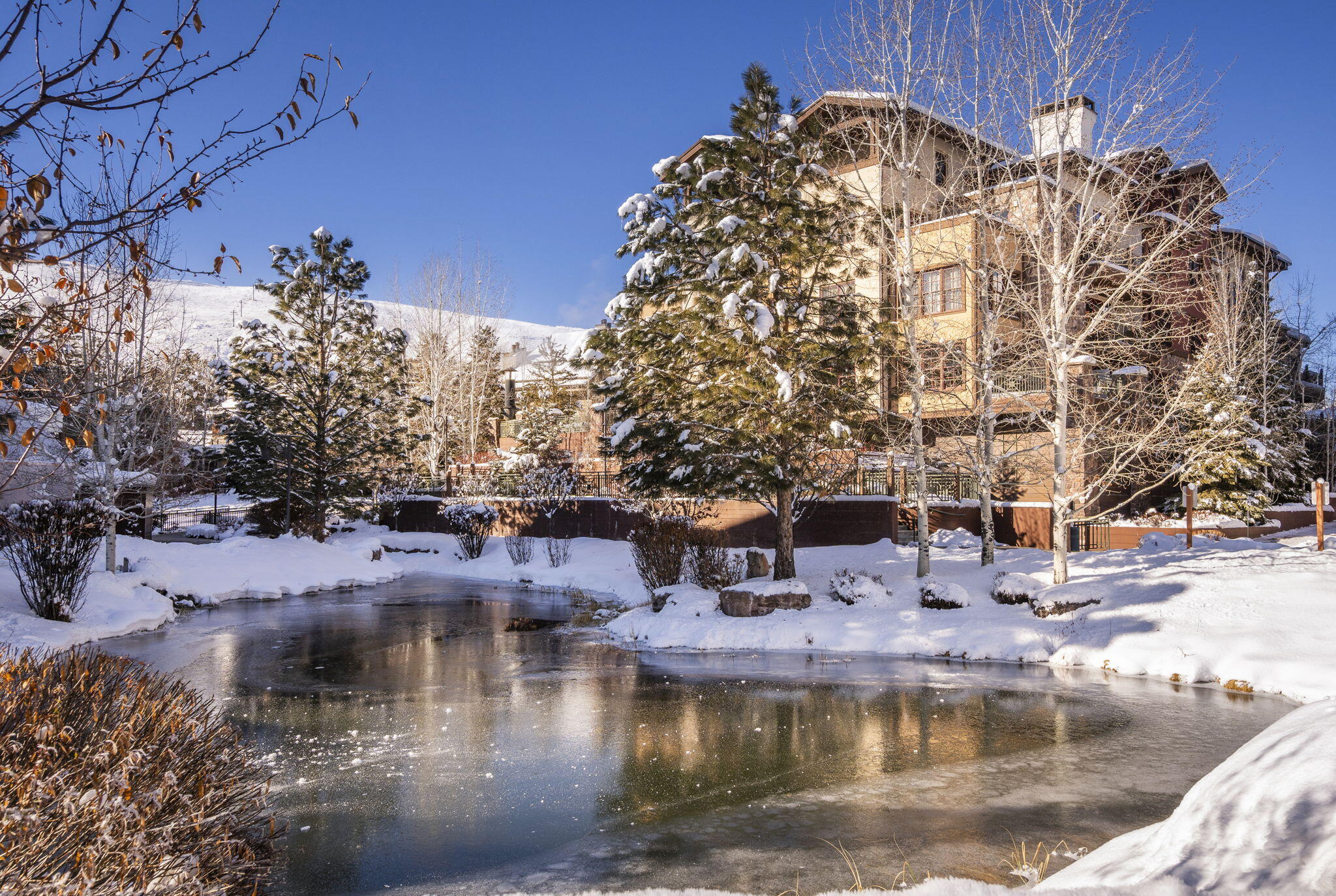 115 Angani Way #5, Sun Valley, Idaho image 15