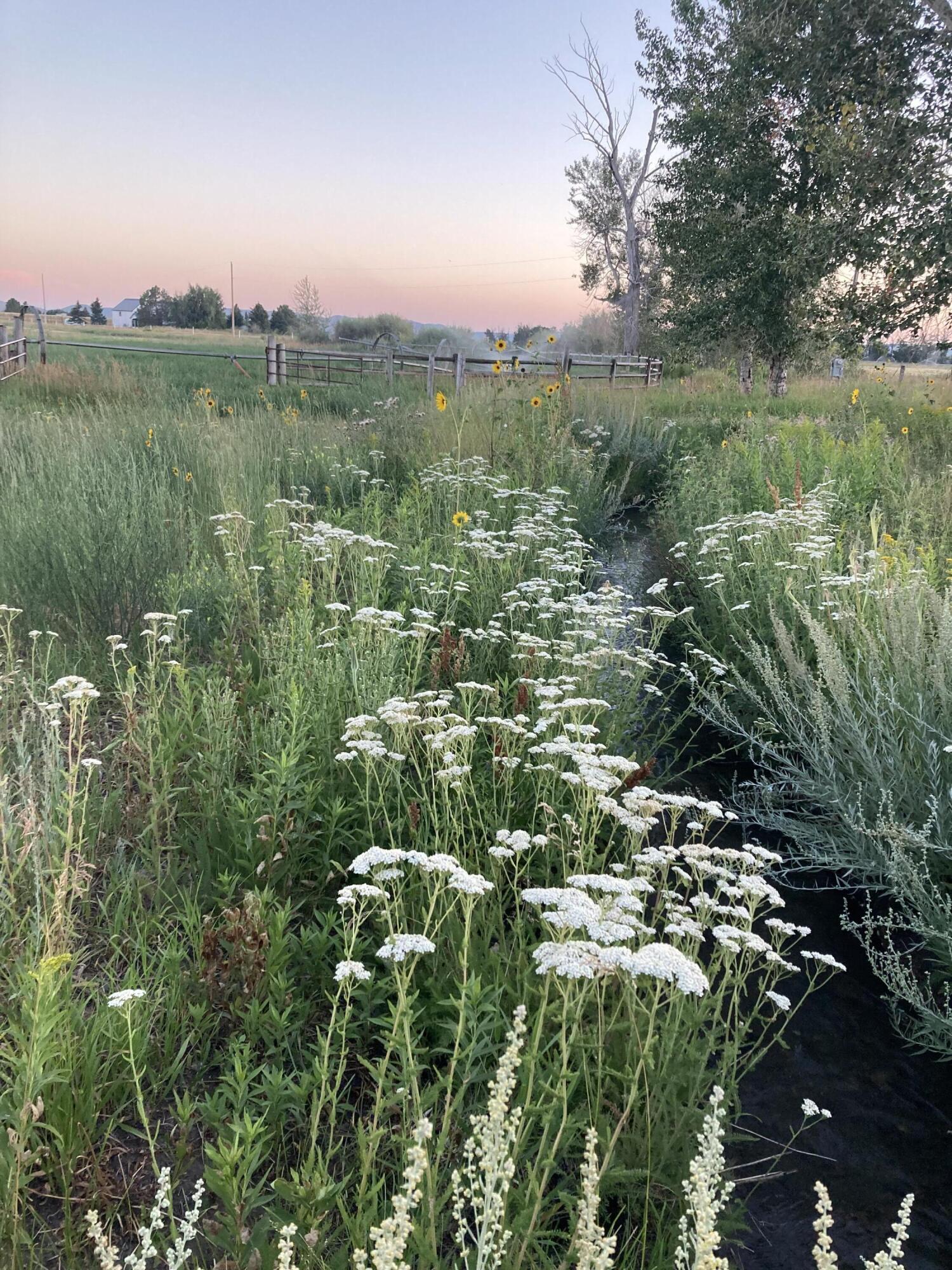 10575 Highway 75, Bellevue, Idaho image 27