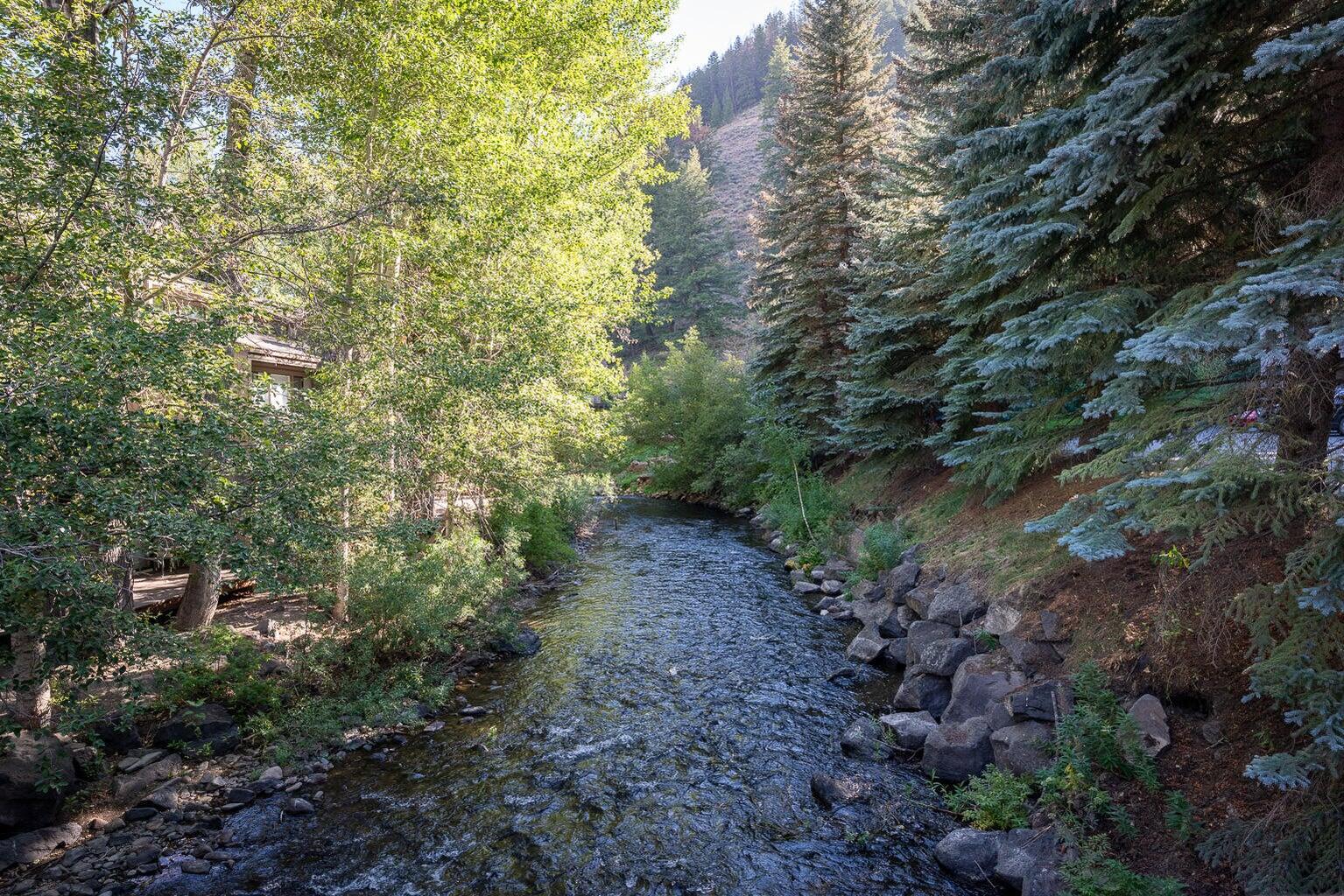 125 Picabo St #F3, Ketchum, Idaho image 16