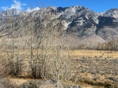 5500 N Chilly Butte Lane, Mackay, Idaho image 10