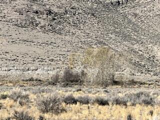 5500 N Chilly Butte Lane, Mackay, Idaho image 5