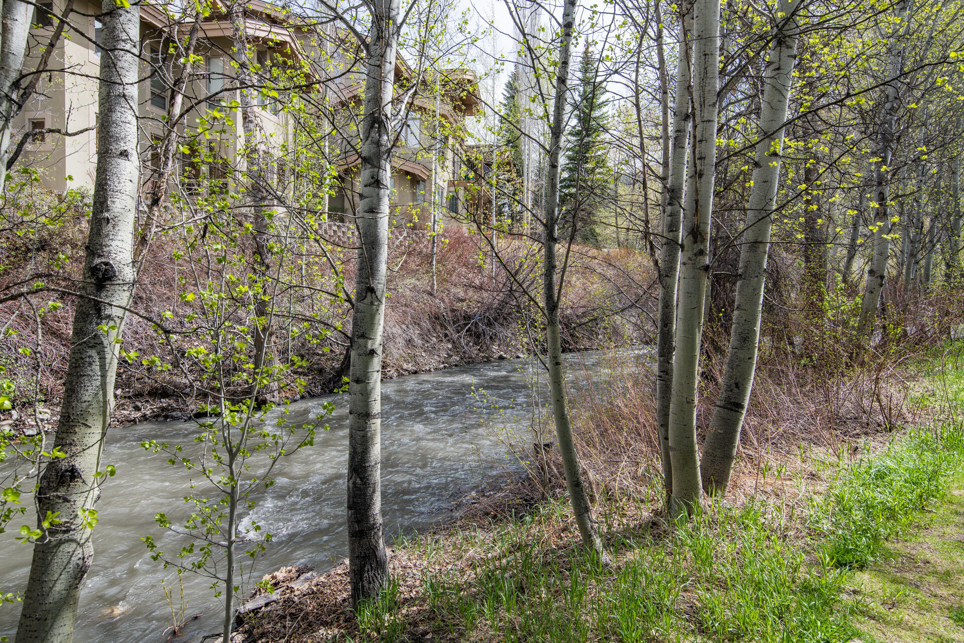 450 S 2nd Ave #25, Ketchum, Idaho image 5