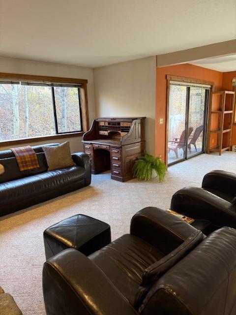 450 S 2nd Ave #25, Ketchum, Idaho image 8