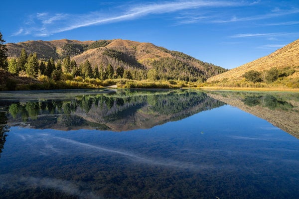 421 DEER CREEK RD, HAILEY, ID 83333 - Image bb8a0e088b8e5054925a0c95ec6acda2/959106904