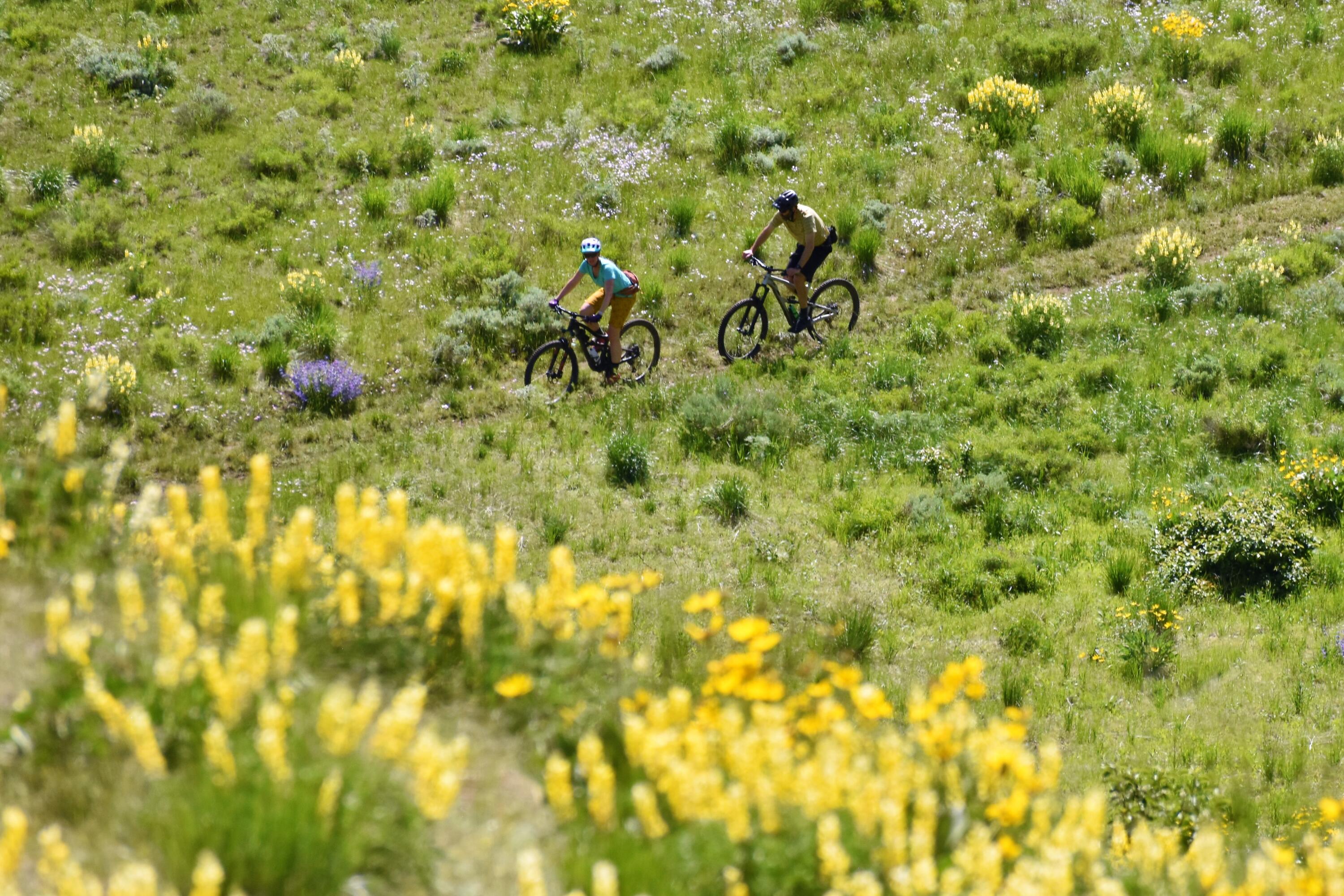 Hailey, Idaho 83333, United States, ,Land,Pending,65115