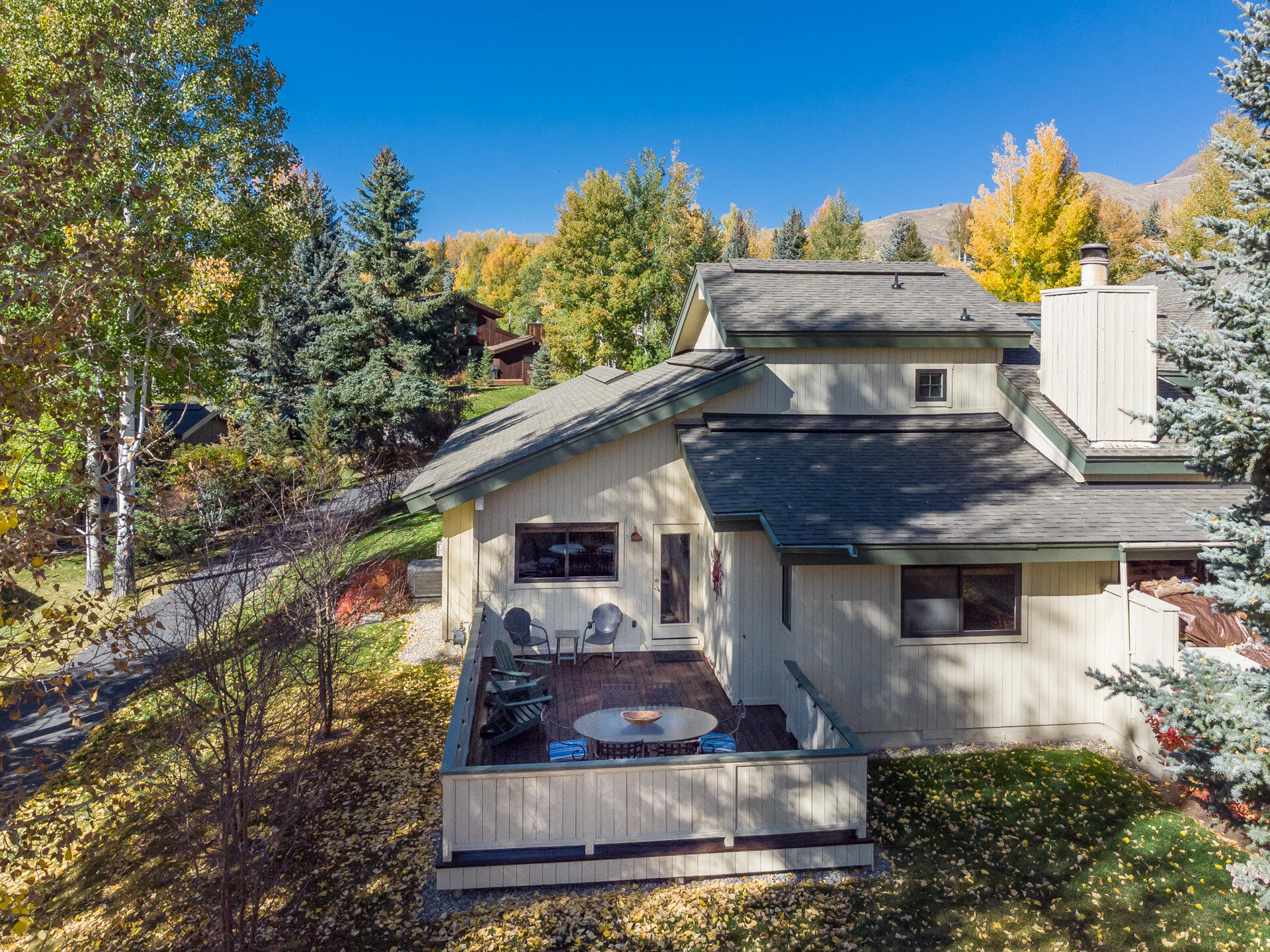 106 Dandelion, Sun Valley, Idaho image 19