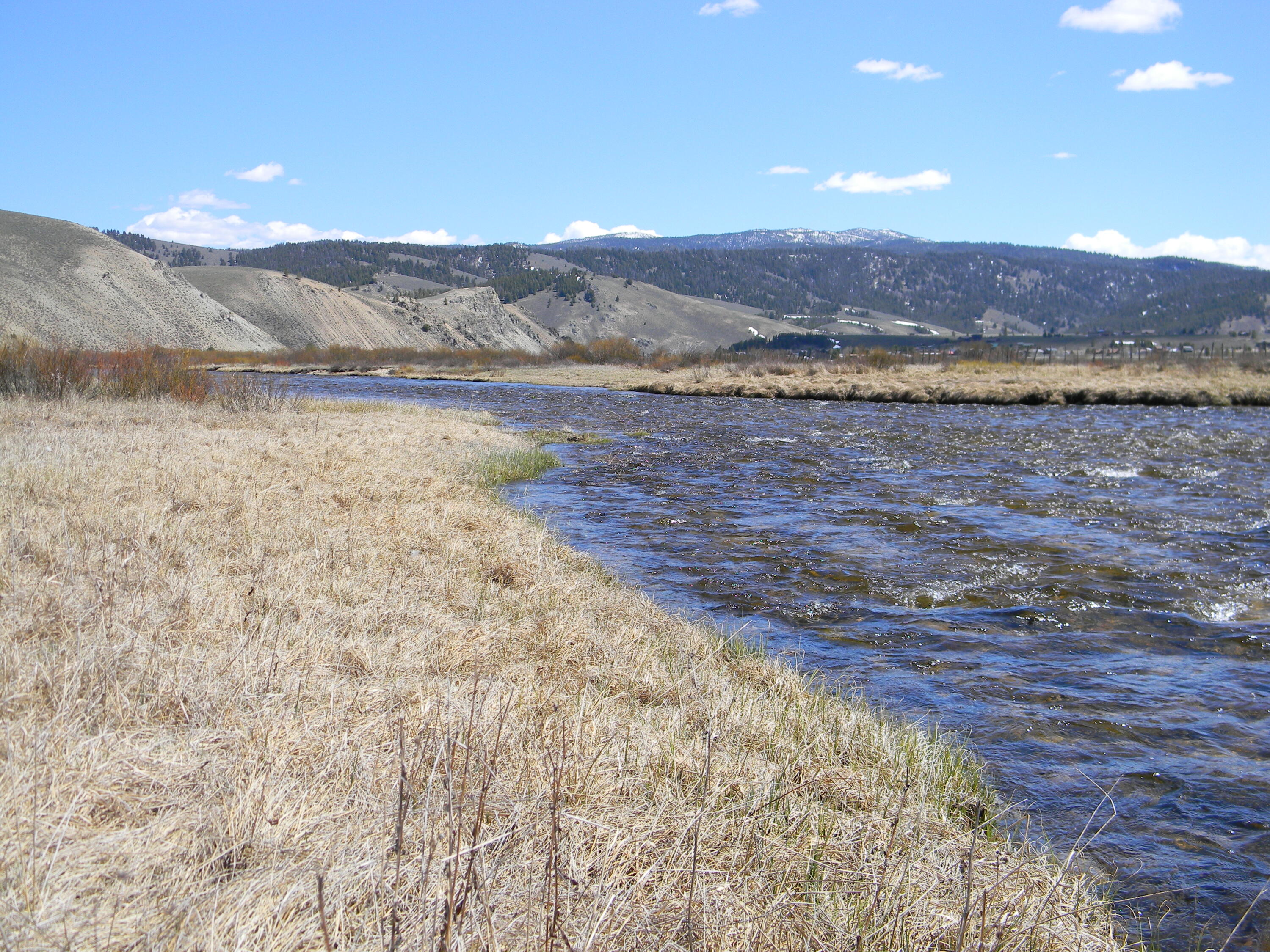 1000 Nip N Tuck, Stanley, Idaho image 18