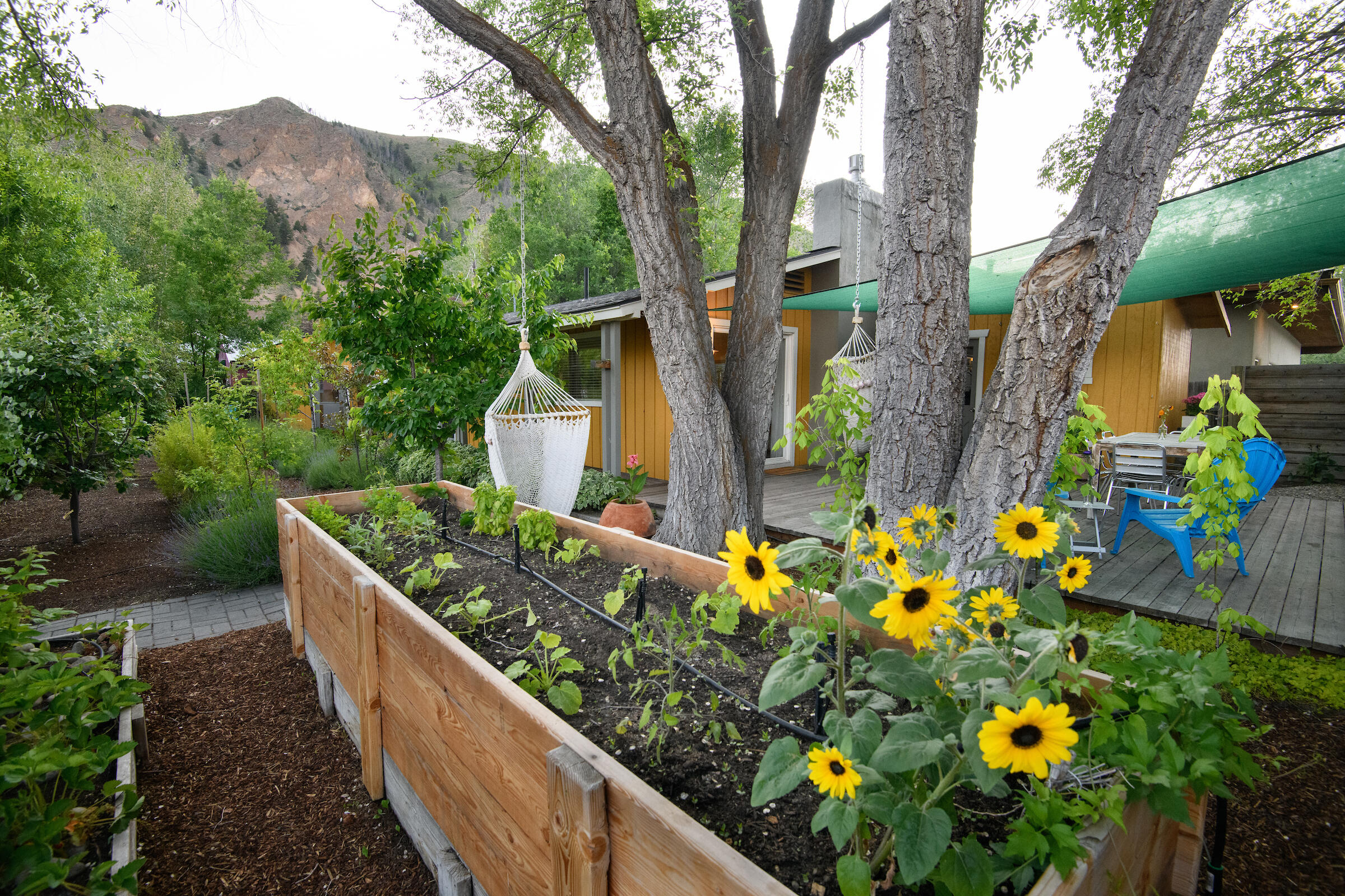 Hailey, Idaho 83333, United States, 2 Bedrooms Bedrooms, ,1 BathroomBathrooms,Residential,Active,160160