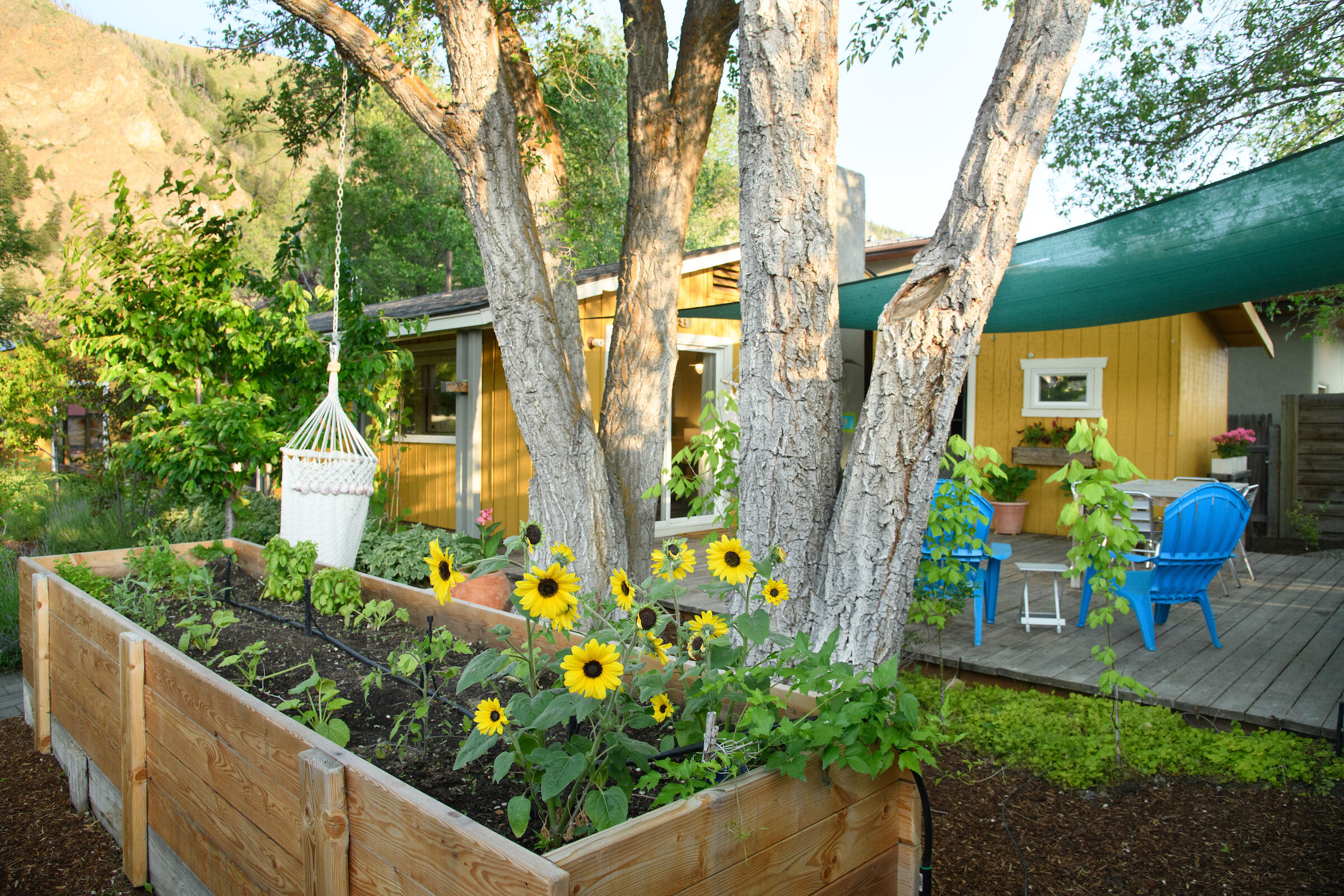 Hailey, Idaho 83333, United States, 2 Bedrooms Bedrooms, ,1 BathroomBathrooms,Residential,Active,160160