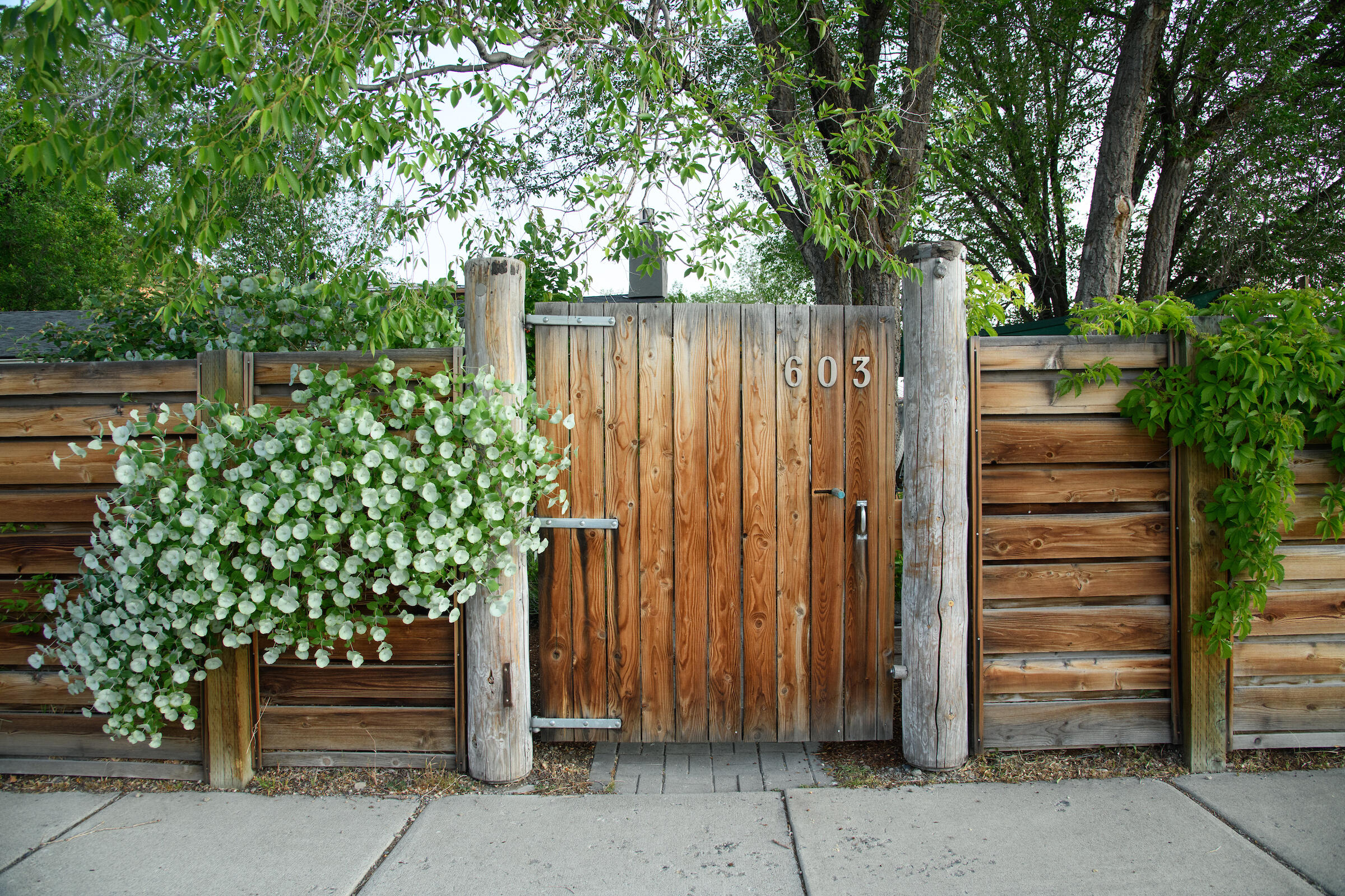 Hailey, Idaho 83333, United States, 2 Bedrooms Bedrooms, ,1 BathroomBathrooms,Residential,Active,160160