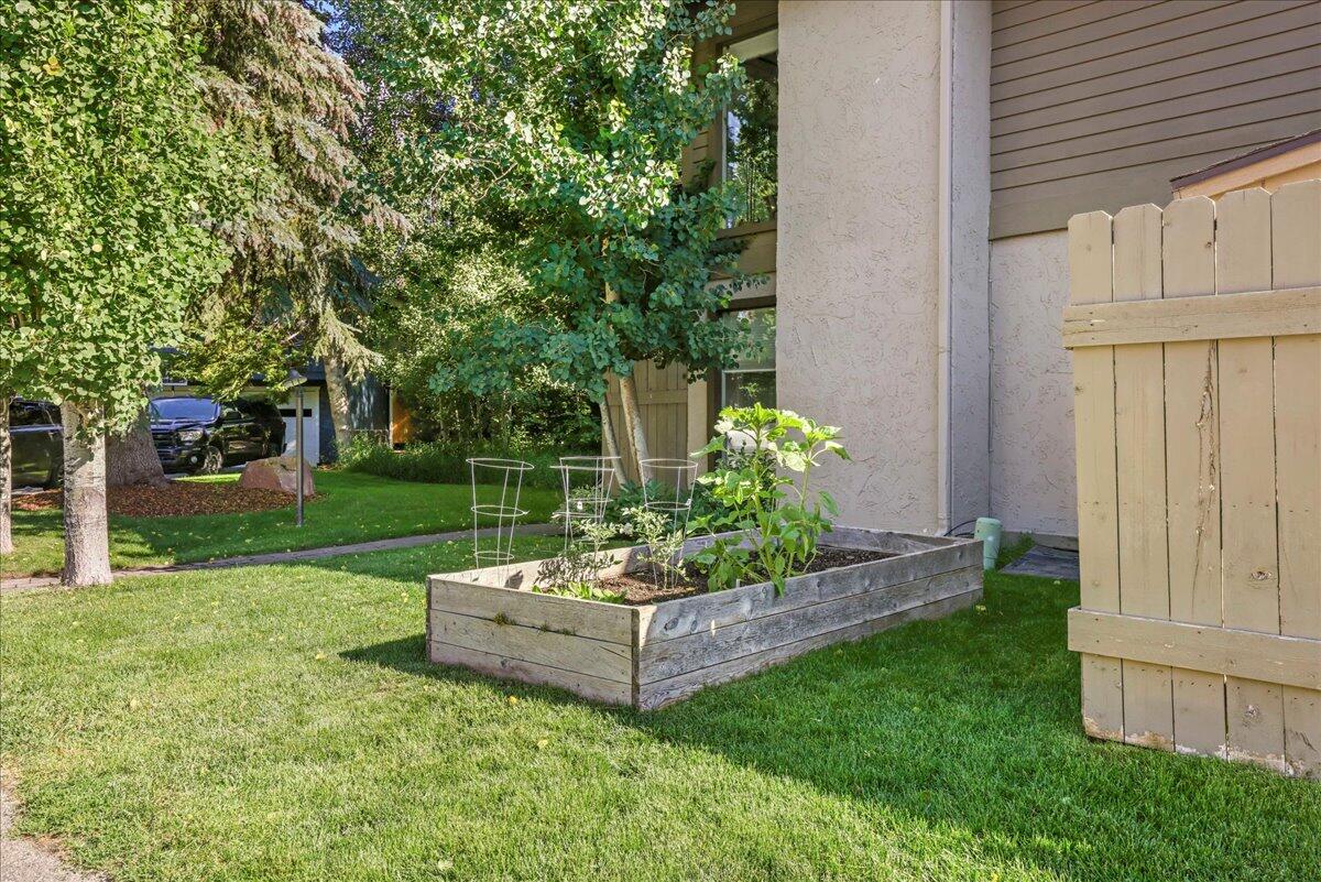 Association vegetable garden