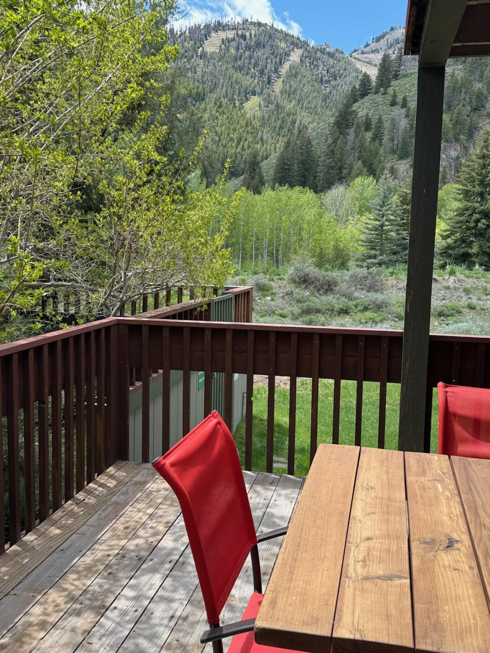 150 Wood River Dr #A2, Ketchum, Idaho image 8