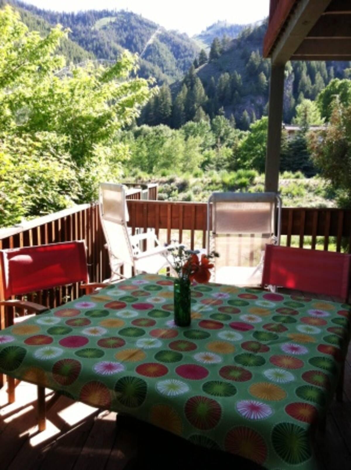 150 Wood River Dr #A2, Ketchum, Idaho image 9