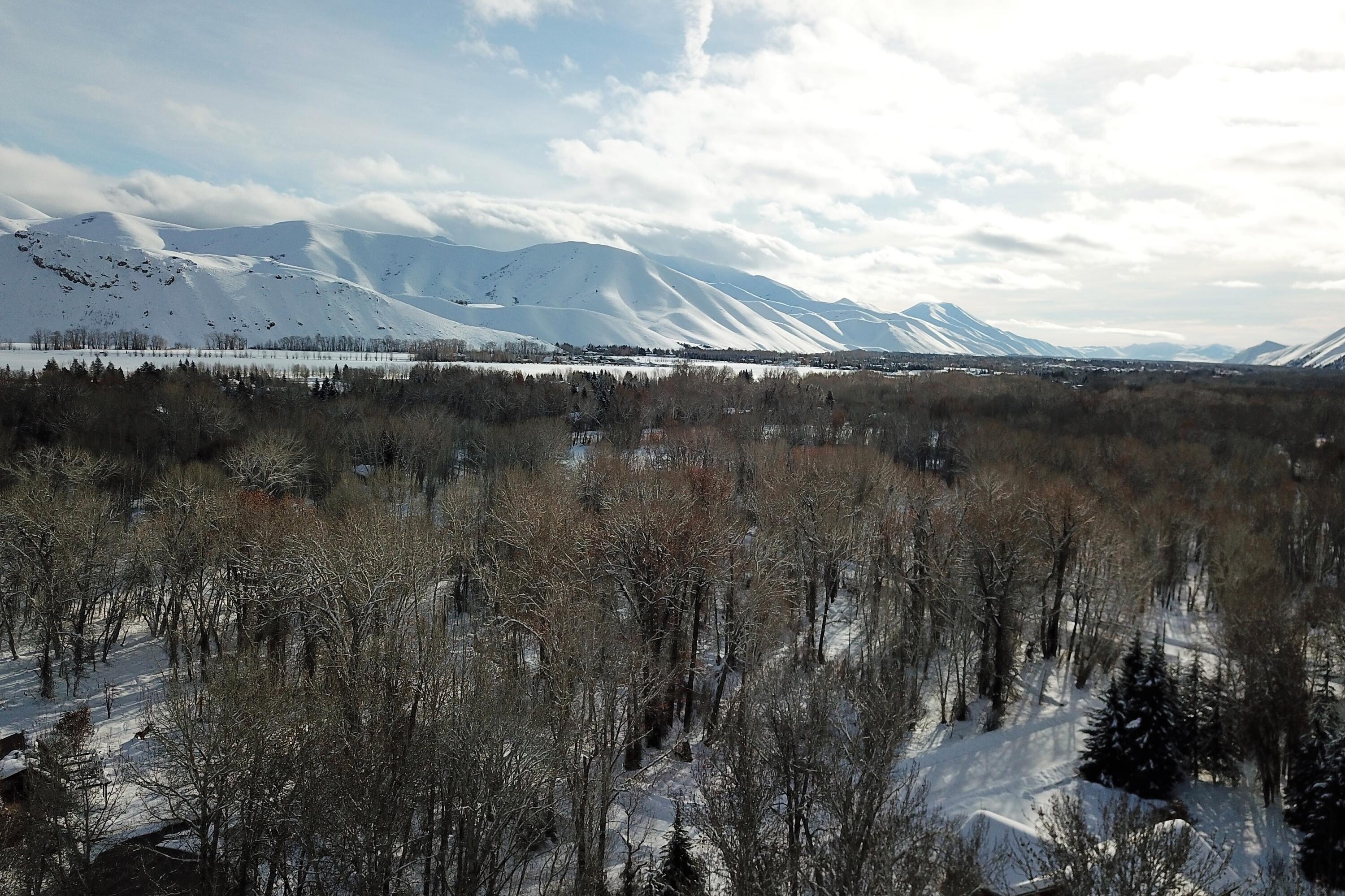 Blaine County, Idaho 83333, United States, ,Land,Active,4155