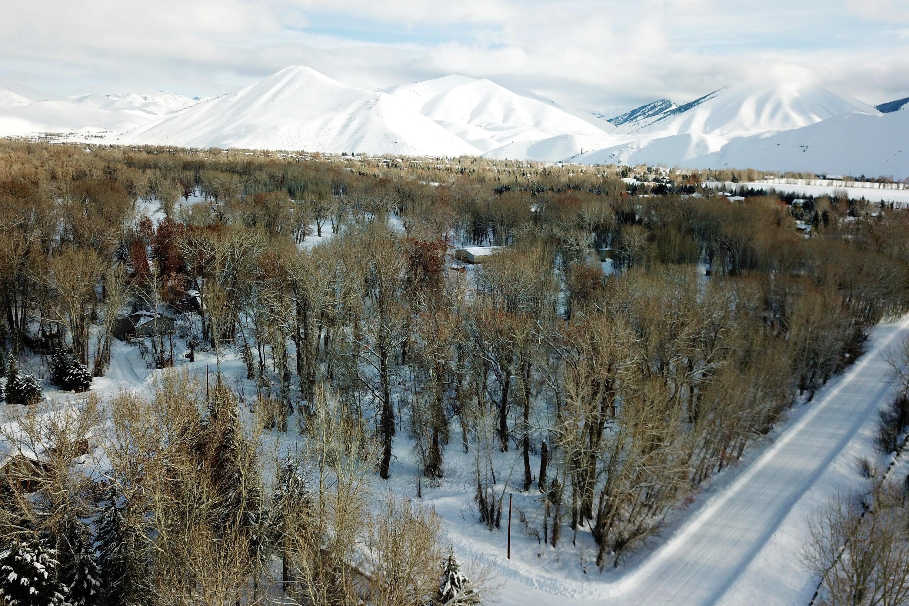 Blaine County, Idaho 83333, United States, ,Land,Active,4155