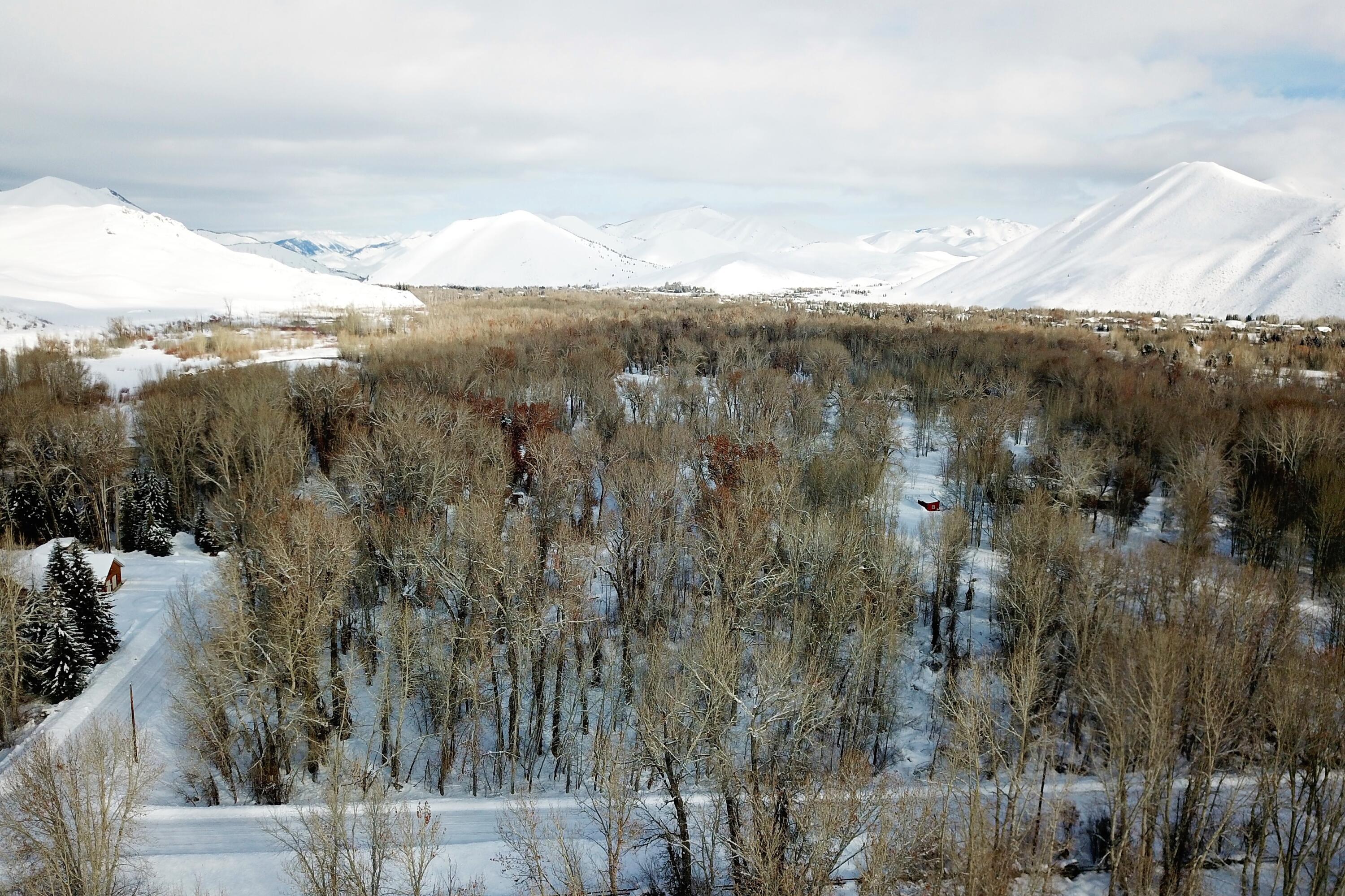 Blaine County, Idaho 83333, United States, ,Land,Active,4155