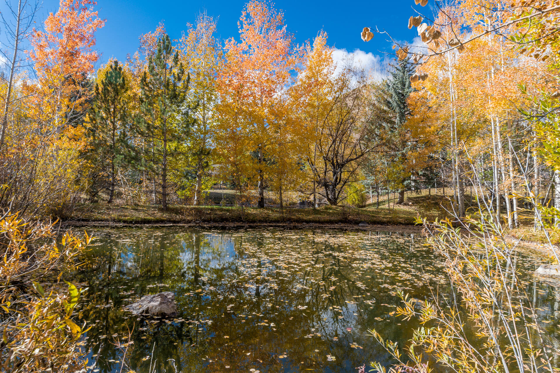 One of the gorgeous ponds