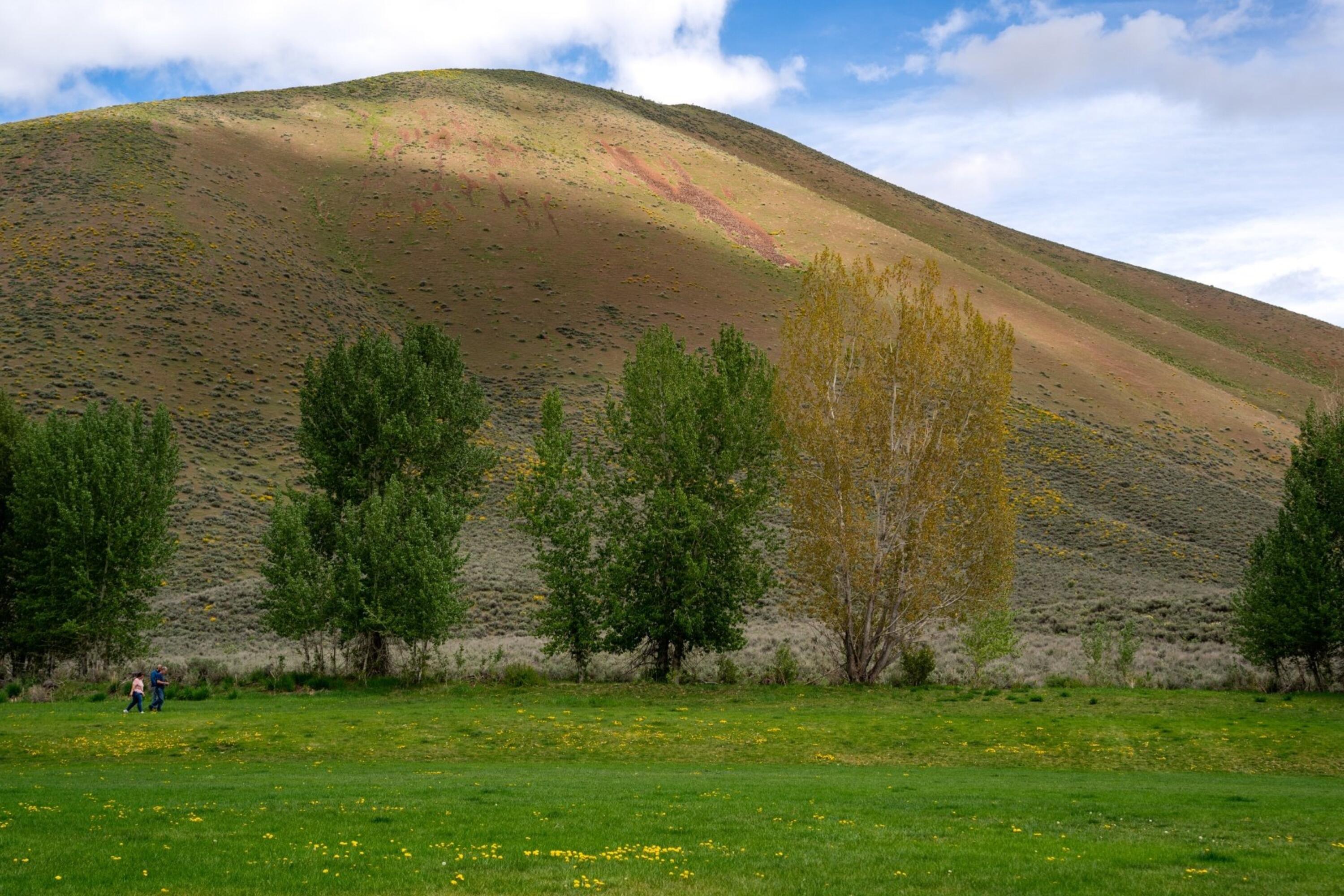 999 Cutters Dr, Hailey, Idaho image 24