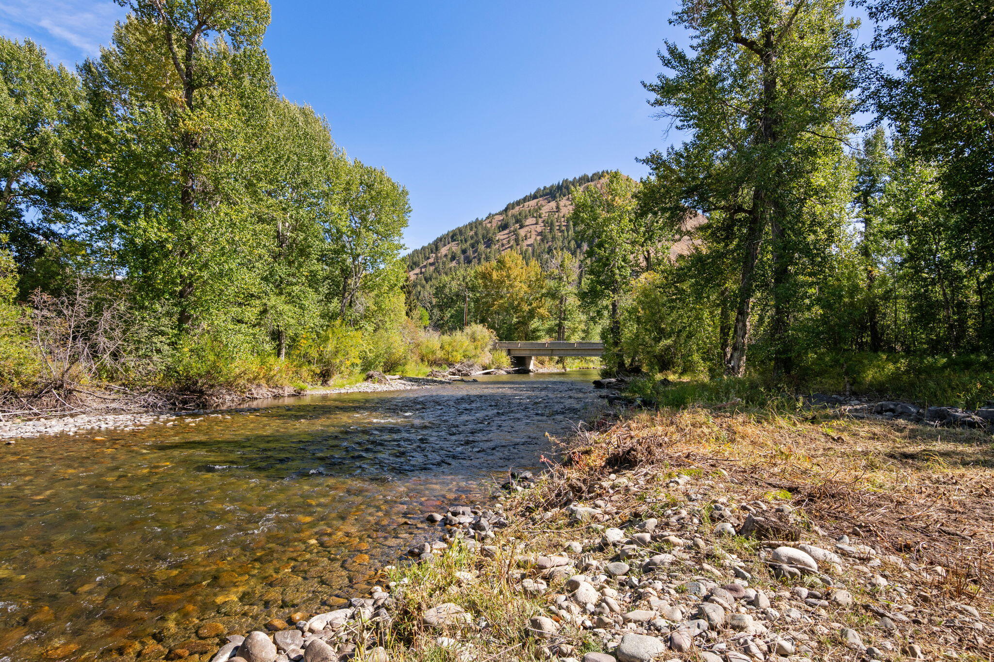 Big Wood River Frontage