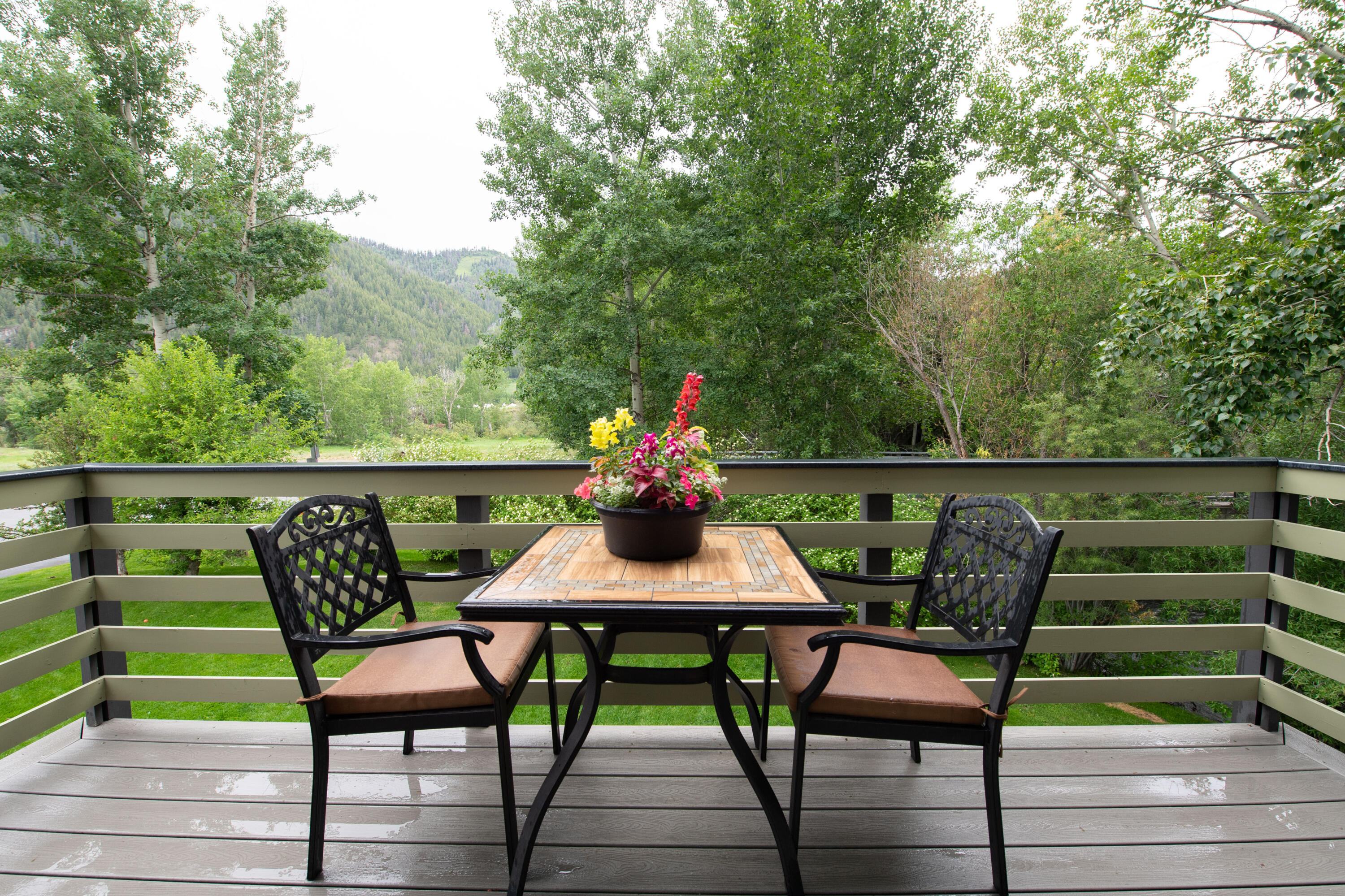 600 S 2nd Ave #A-1, Ketchum, Idaho image 1