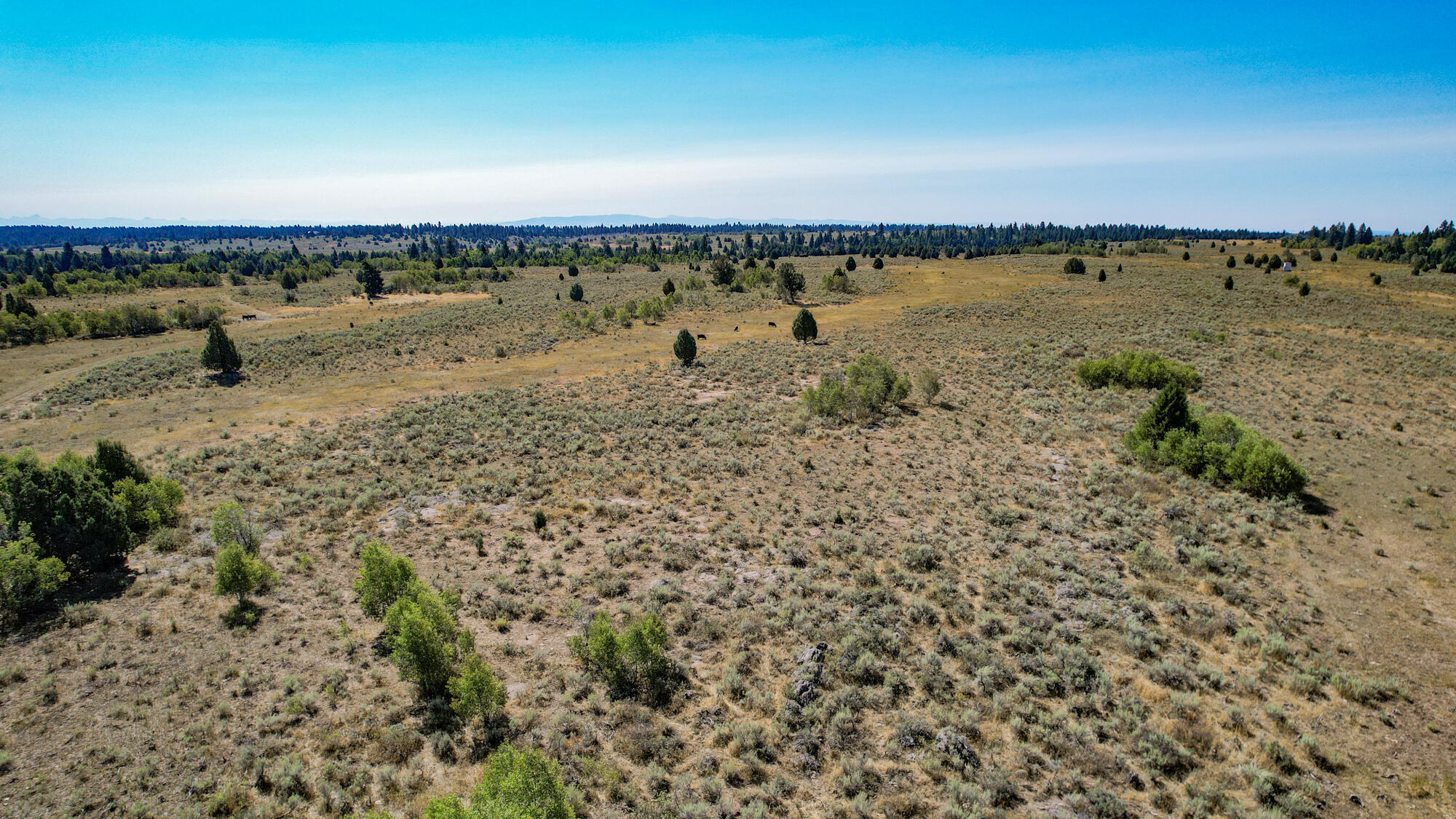 TBD Sadorus Hill Rd, Ashton, Idaho image 9