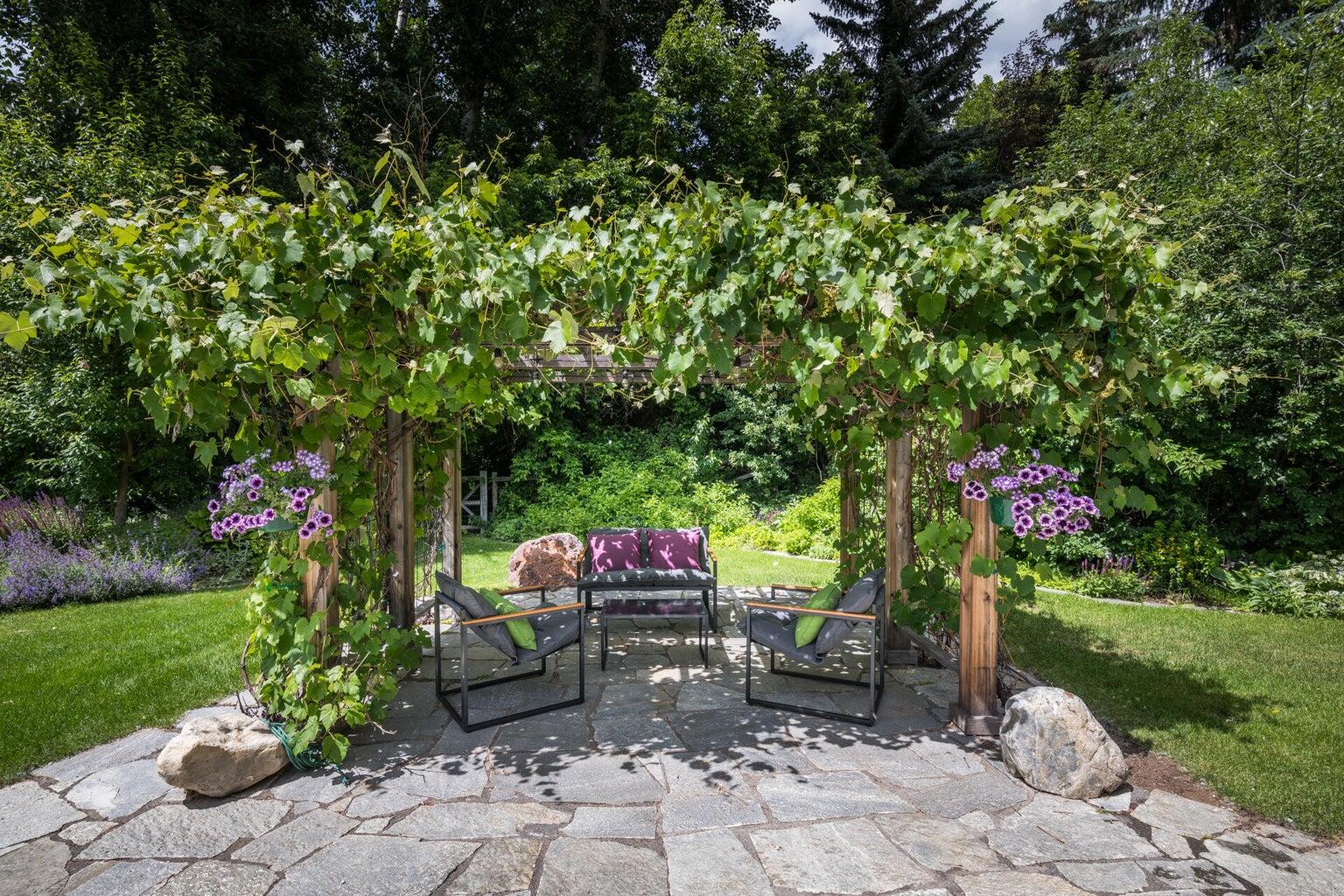 arbor